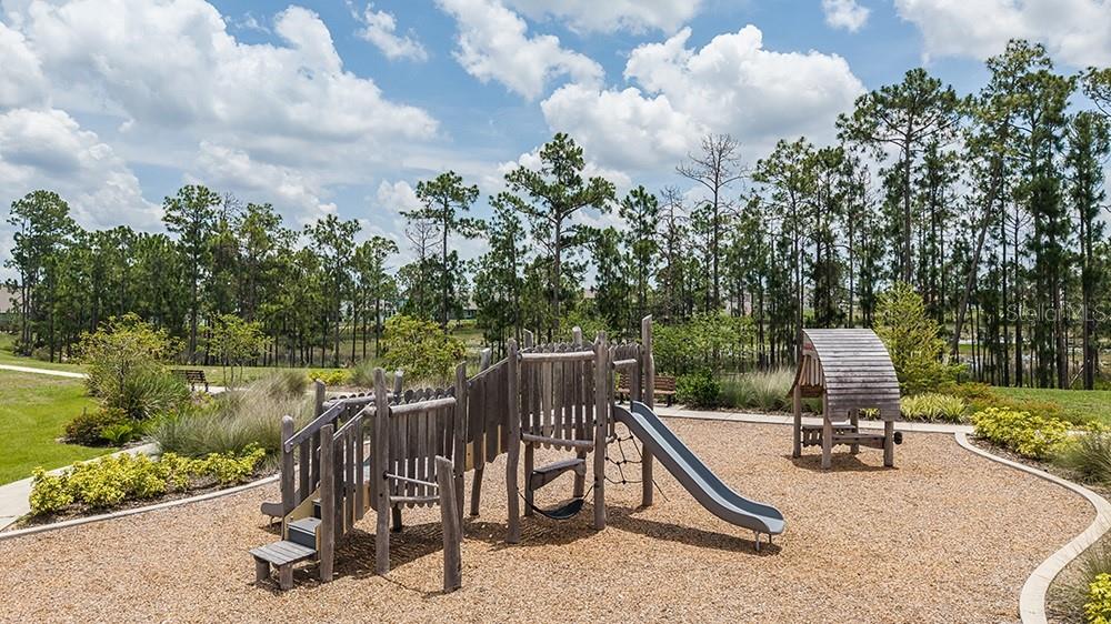 14784 FIELD DAISY DR, WINTER GARDEN, FL — photo 42