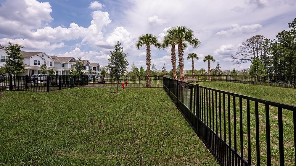 14784 FIELD DAISY DR, WINTER GARDEN, FL — photo 43