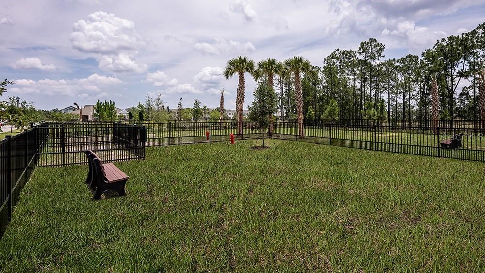 14784 FIELD DAISY DR, WINTER GARDEN, FL — photo 44