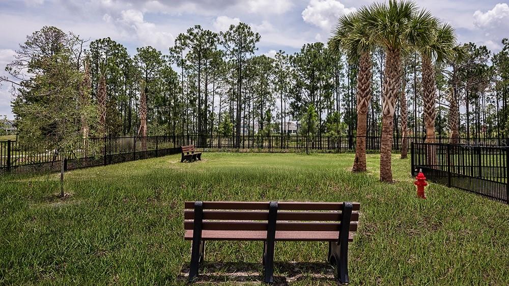 14784 FIELD DAISY DR, WINTER GARDEN, FL — photo 45