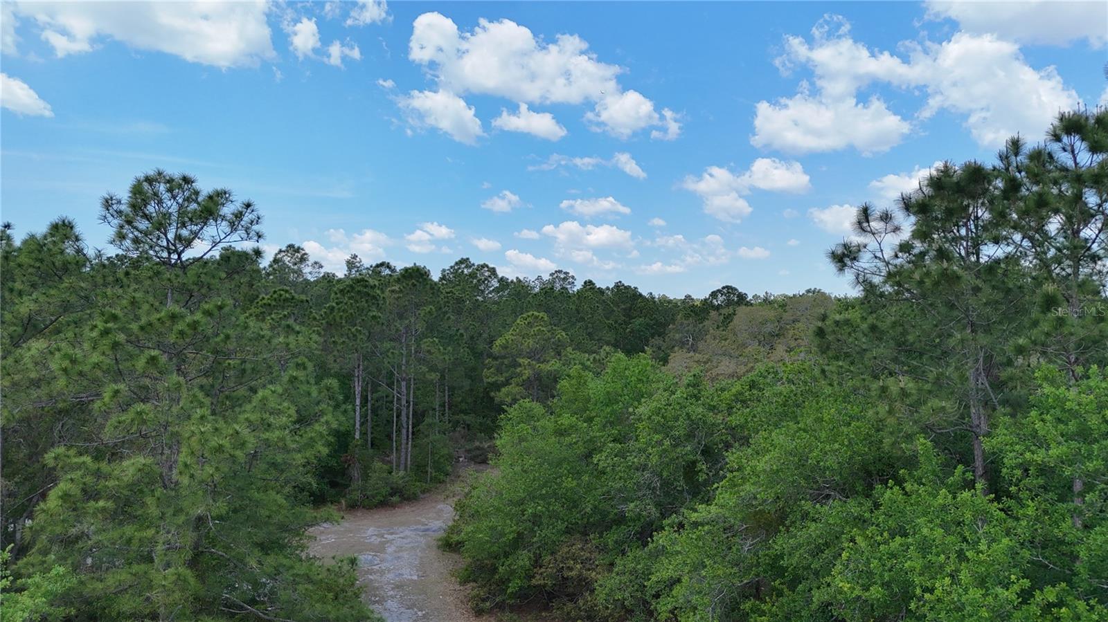 1310 PINE ISLAND DR N, ST CLOUD, FL — photo 19