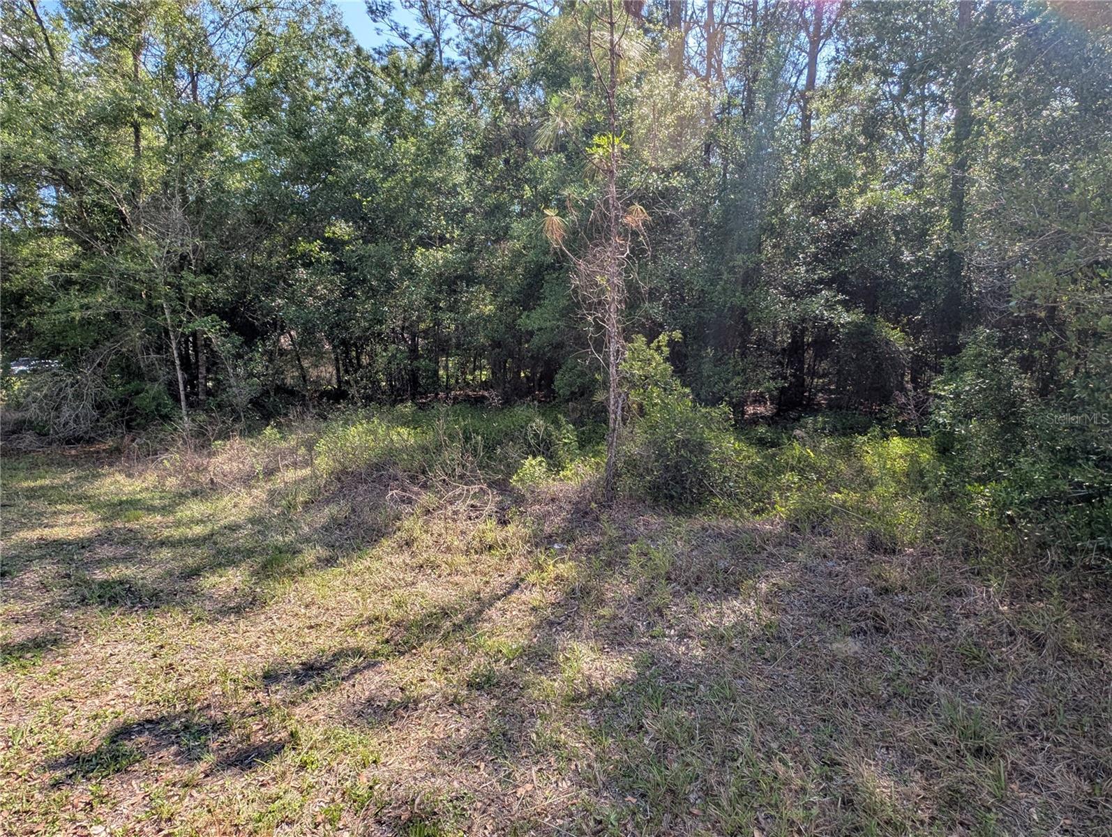 202ND CT, DUNNELLON, FL — photo 4