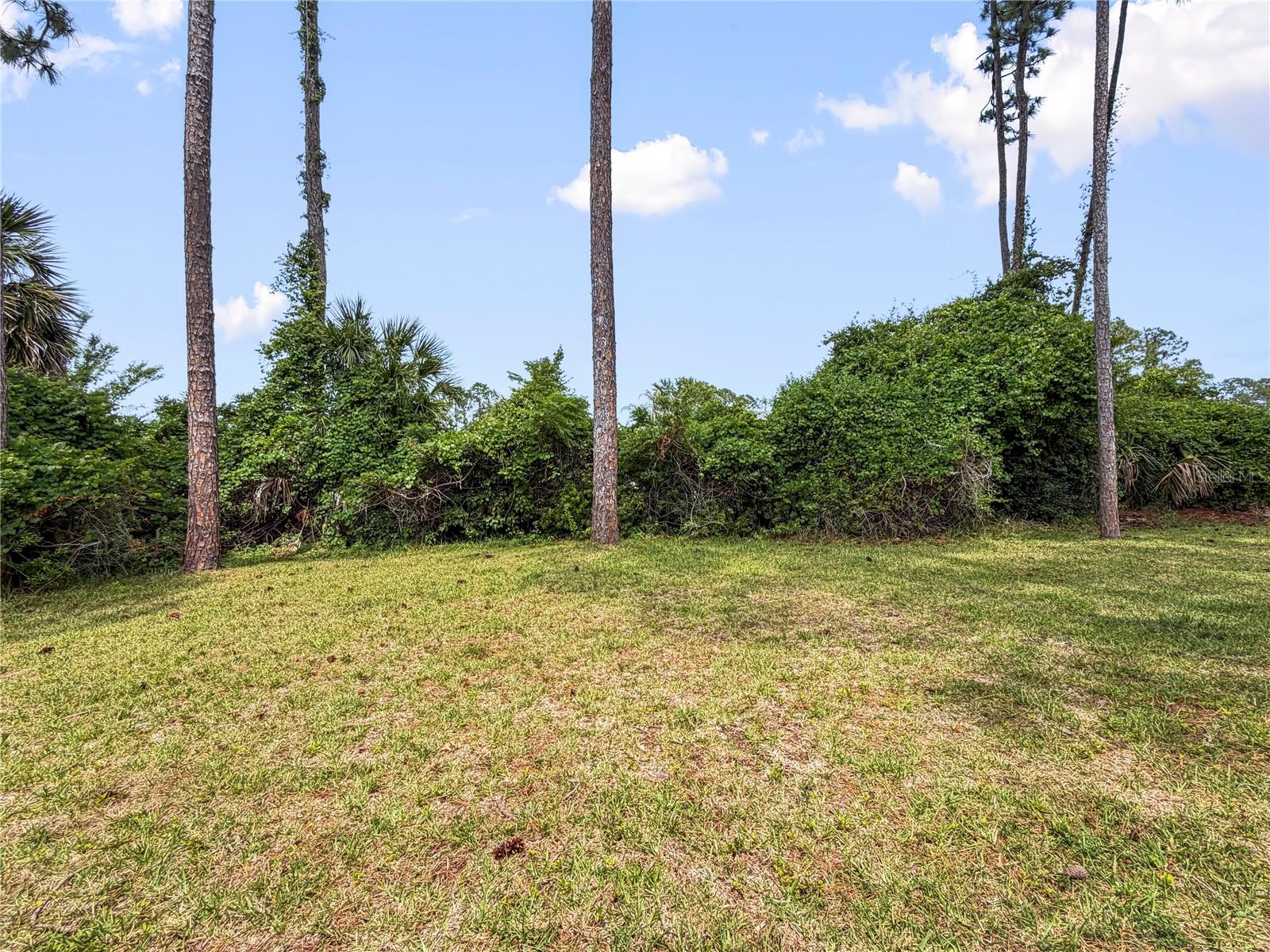 , PALM COAST, FL — photo 17