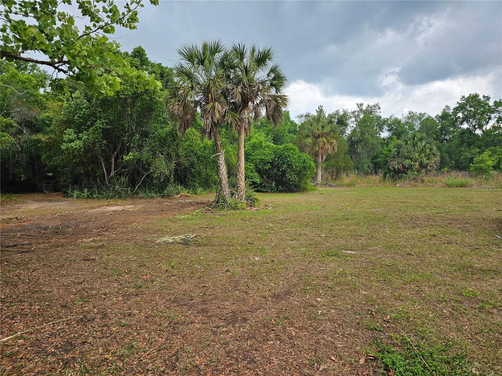 10679 GOOSE PRAIRIE RD, LEESBURG, FL — photo 14