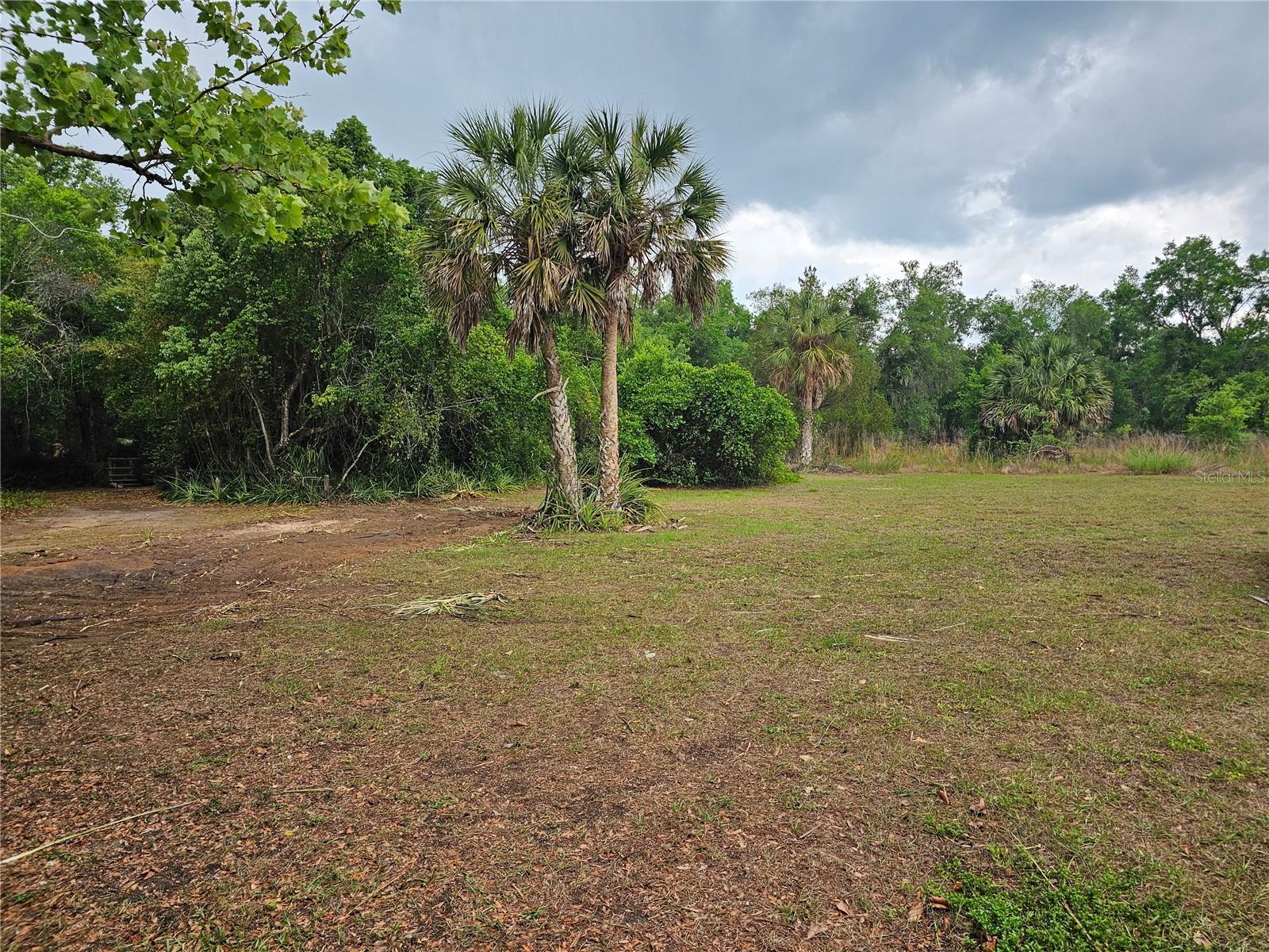10679 GOOSE PRAIRIE RD, LEESBURG, FL — photo 24