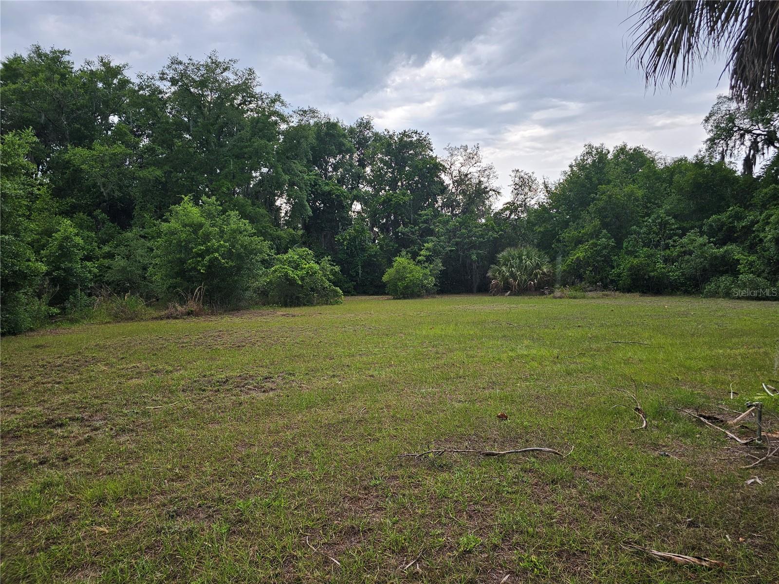 10679 GOOSE PRAIRIE RD, LEESBURG, FL — photo 28