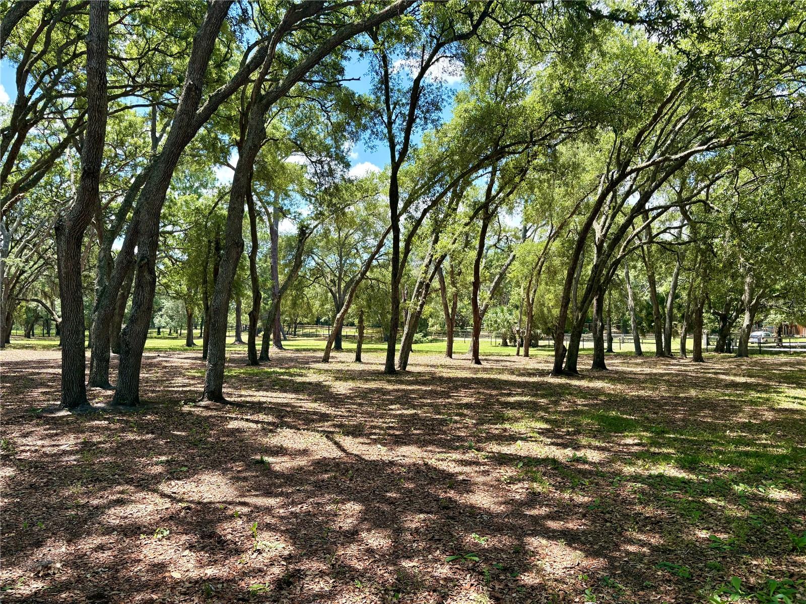 390 FOOTHILL FARMS RD, ORANGE CITY, FL — photo 8