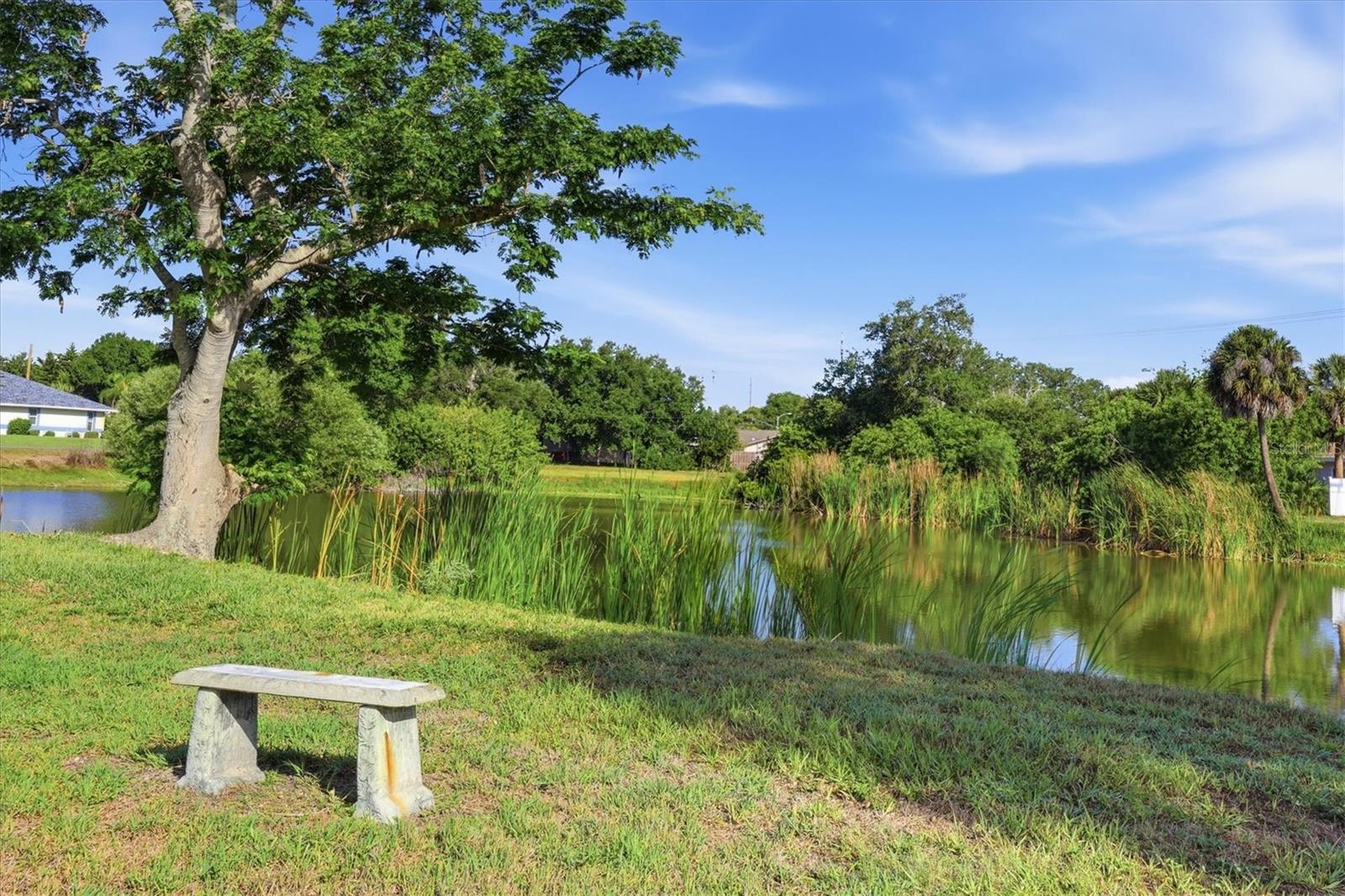 255 RIGEL RD, VENICE, FL — photo 43