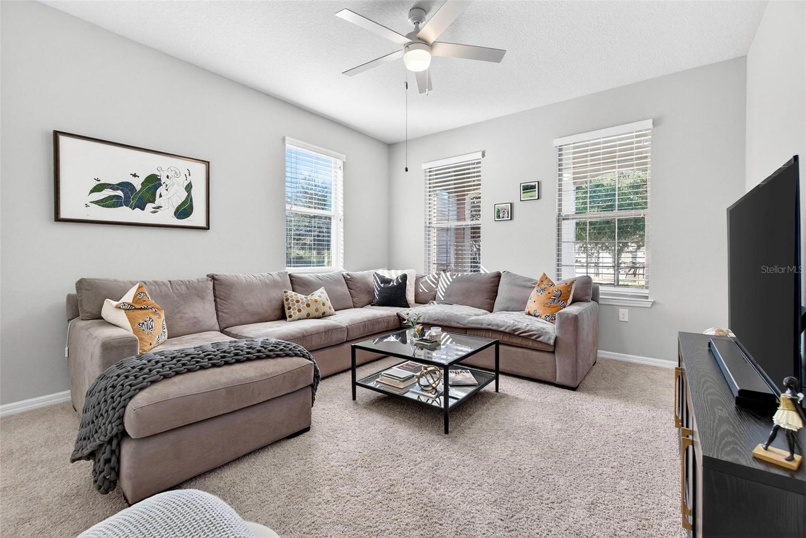 18744 BIRCHWOOD GROVES DR, LUTZ, FL — photo 18
