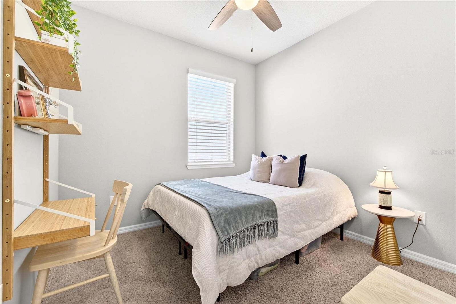 18744 BIRCHWOOD GROVES DR, LUTZ, FL — photo 35