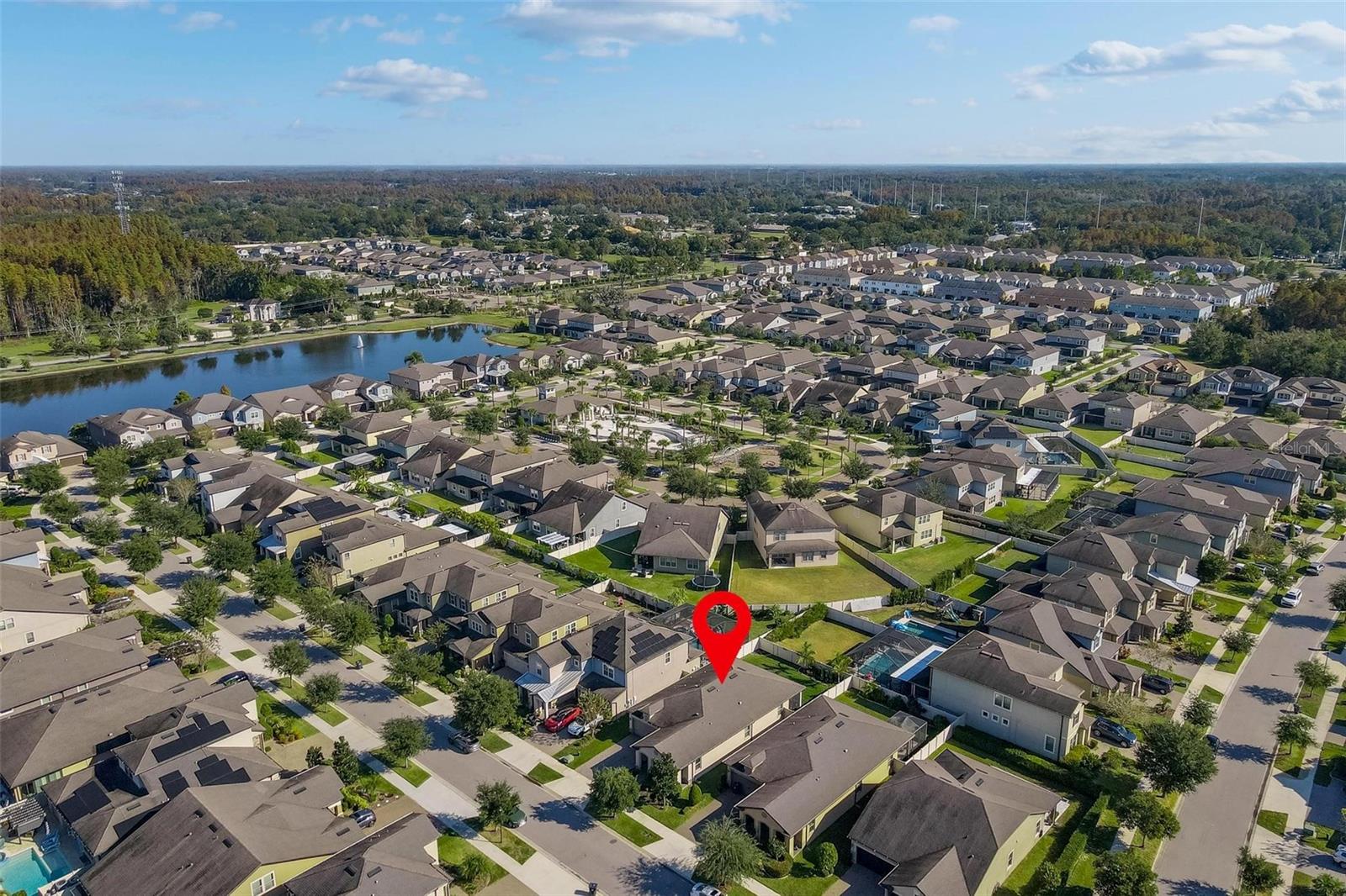18744 BIRCHWOOD GROVES DR, LUTZ, FL — photo 47