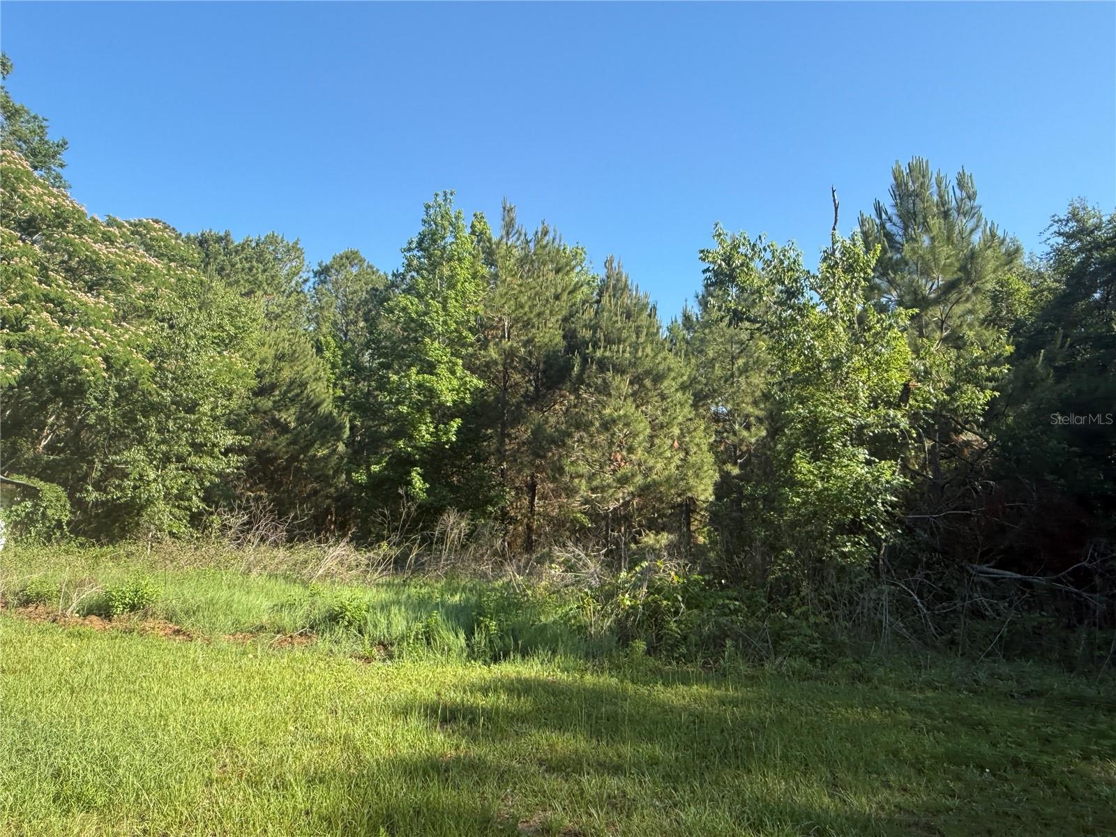9845 NW 160TH ST, REDDICK, FL — photo 8