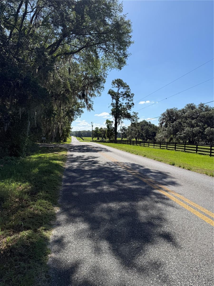 9845 NW 160TH ST, REDDICK, FL — photo 13