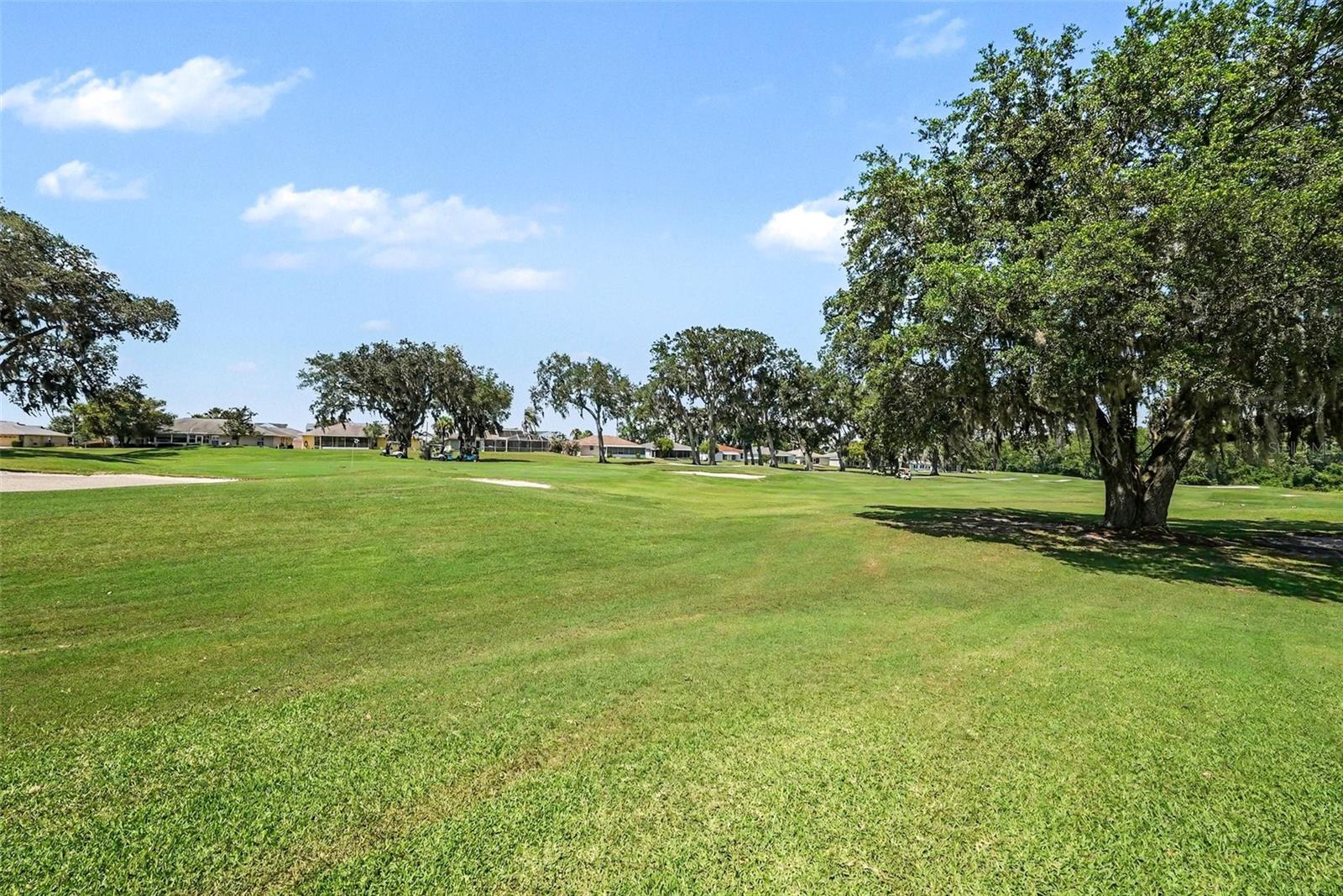 11132 MOSHIE LN, SAN ANTONIO, FL — photo 26