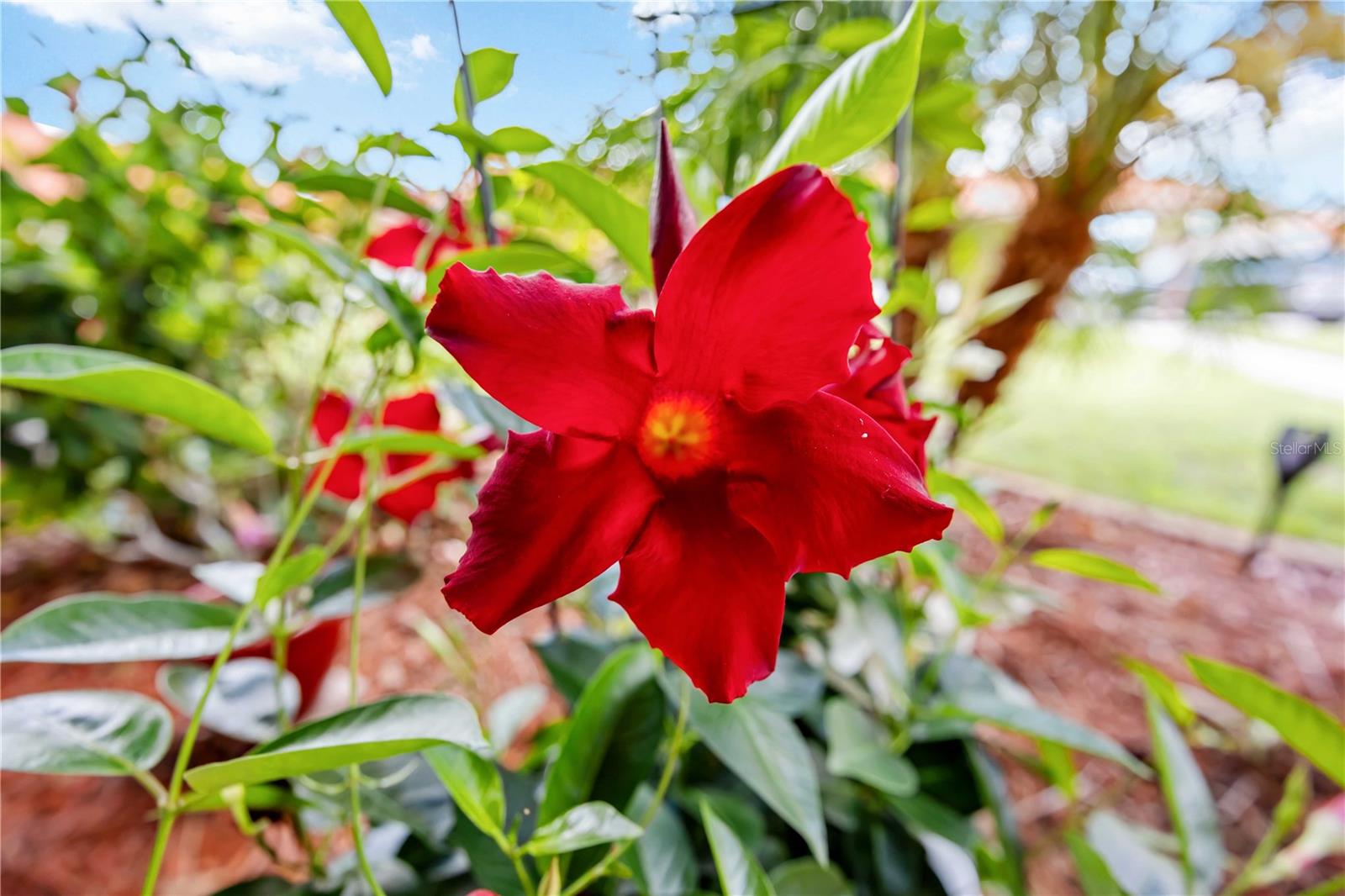 6507 DRAW LN #68, SARASOTA, FL — photo 47