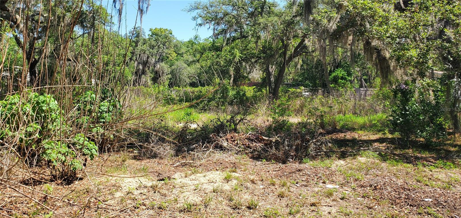11939 BEMONT AVE, NEW PORT RICHEY, FL — photo 2