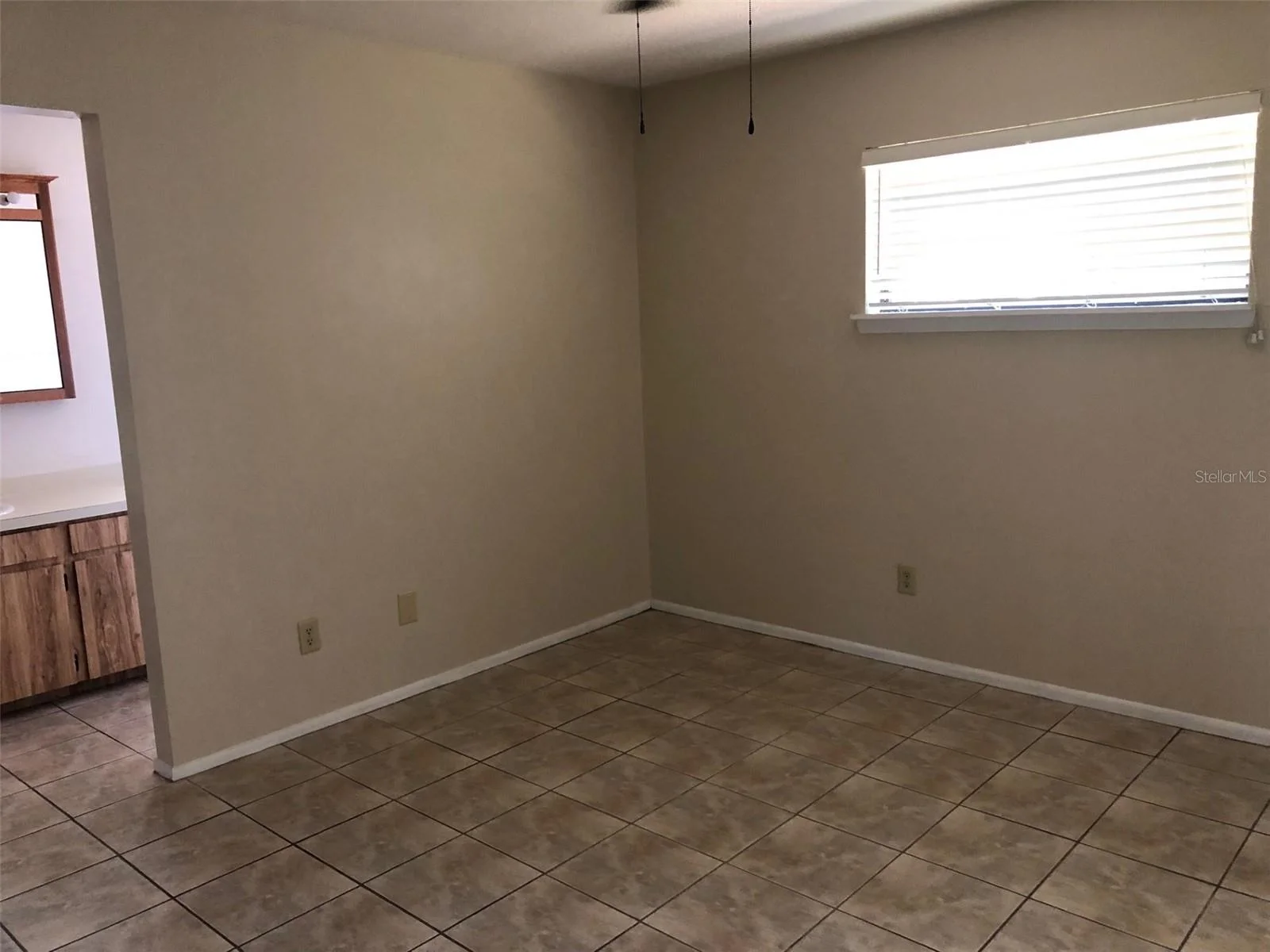 625 E 8TH AVE, MOUNT DORA, FL — photo 18