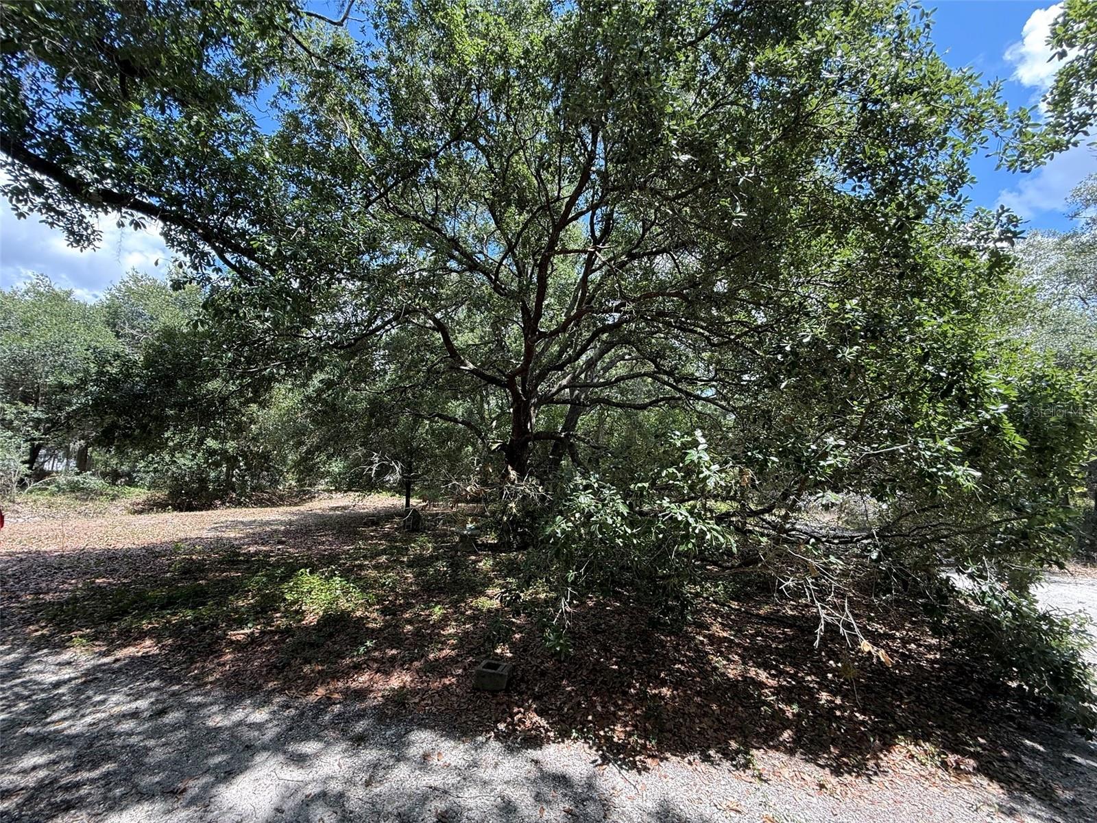 18561 NW 306TH ST, OKEECHOBEE, FL — photo 4