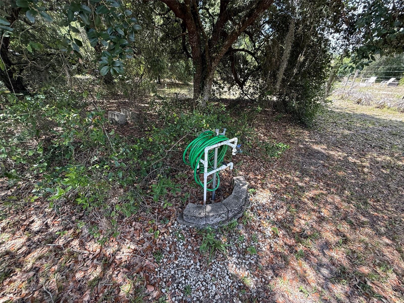 18561 NW 306TH ST, OKEECHOBEE, FL — photo 11