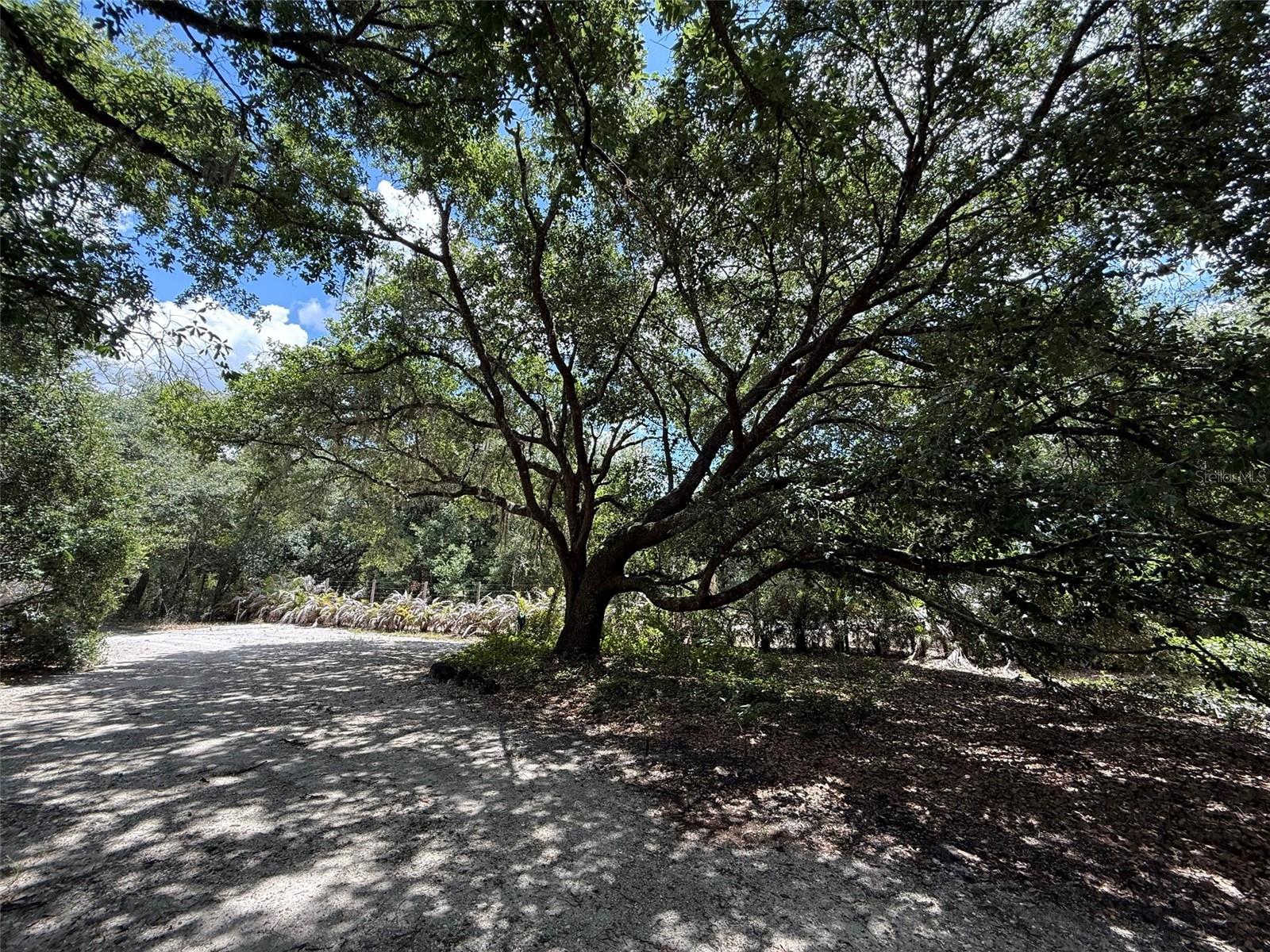 18561 NW 306TH ST, OKEECHOBEE, FL — photo 18