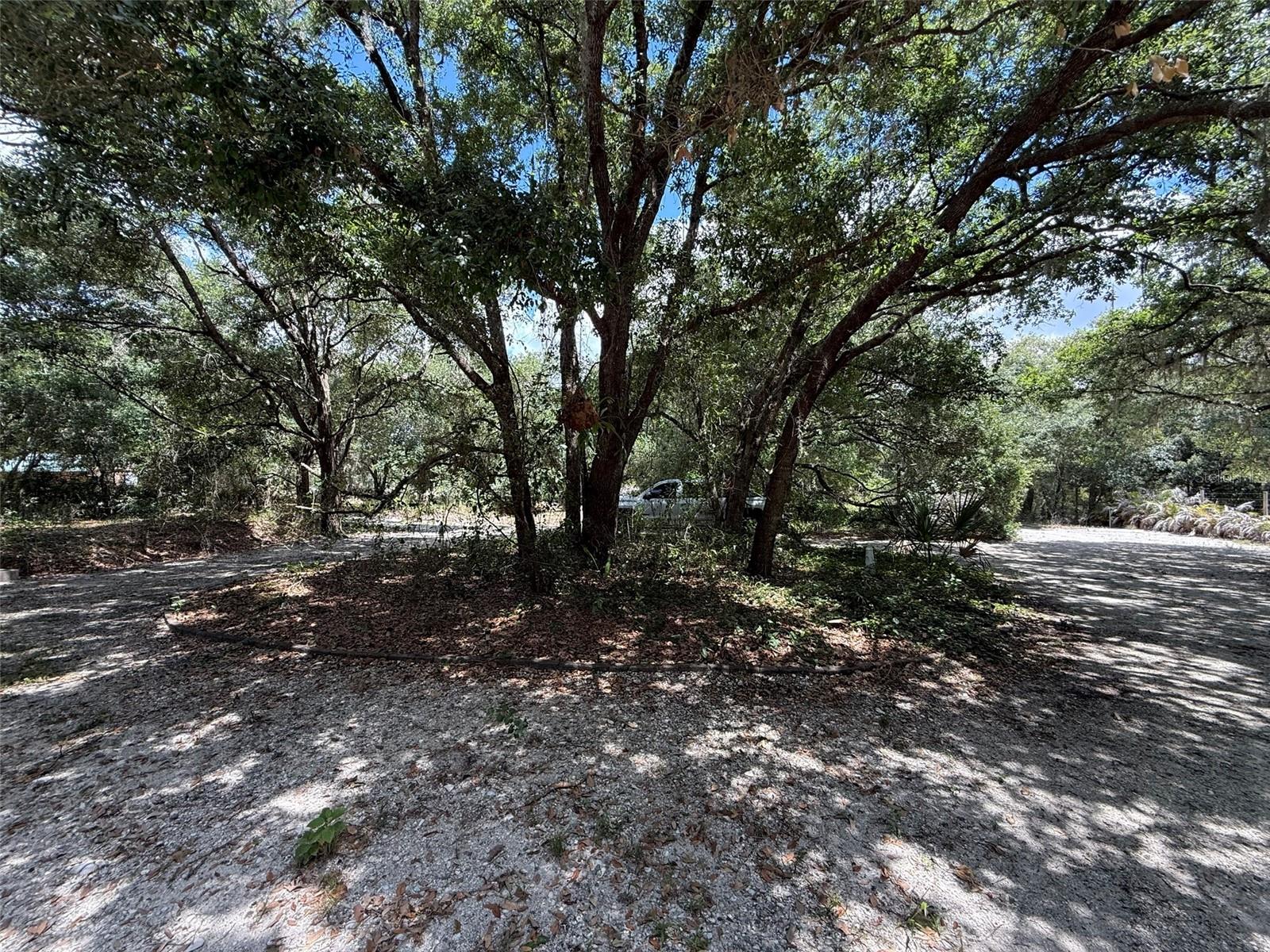 18561 NW 306TH ST, OKEECHOBEE, FL — photo 19