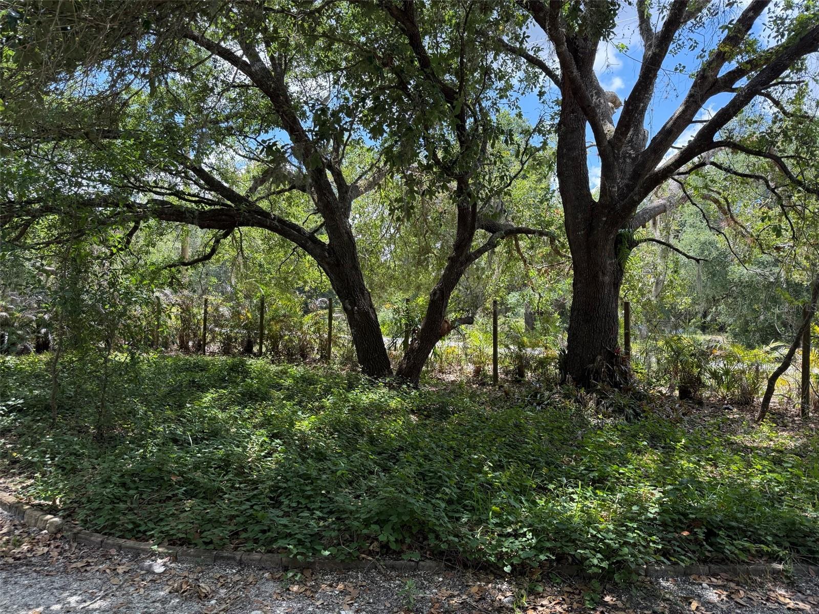 18561 NW 306TH ST, OKEECHOBEE, FL — photo 20