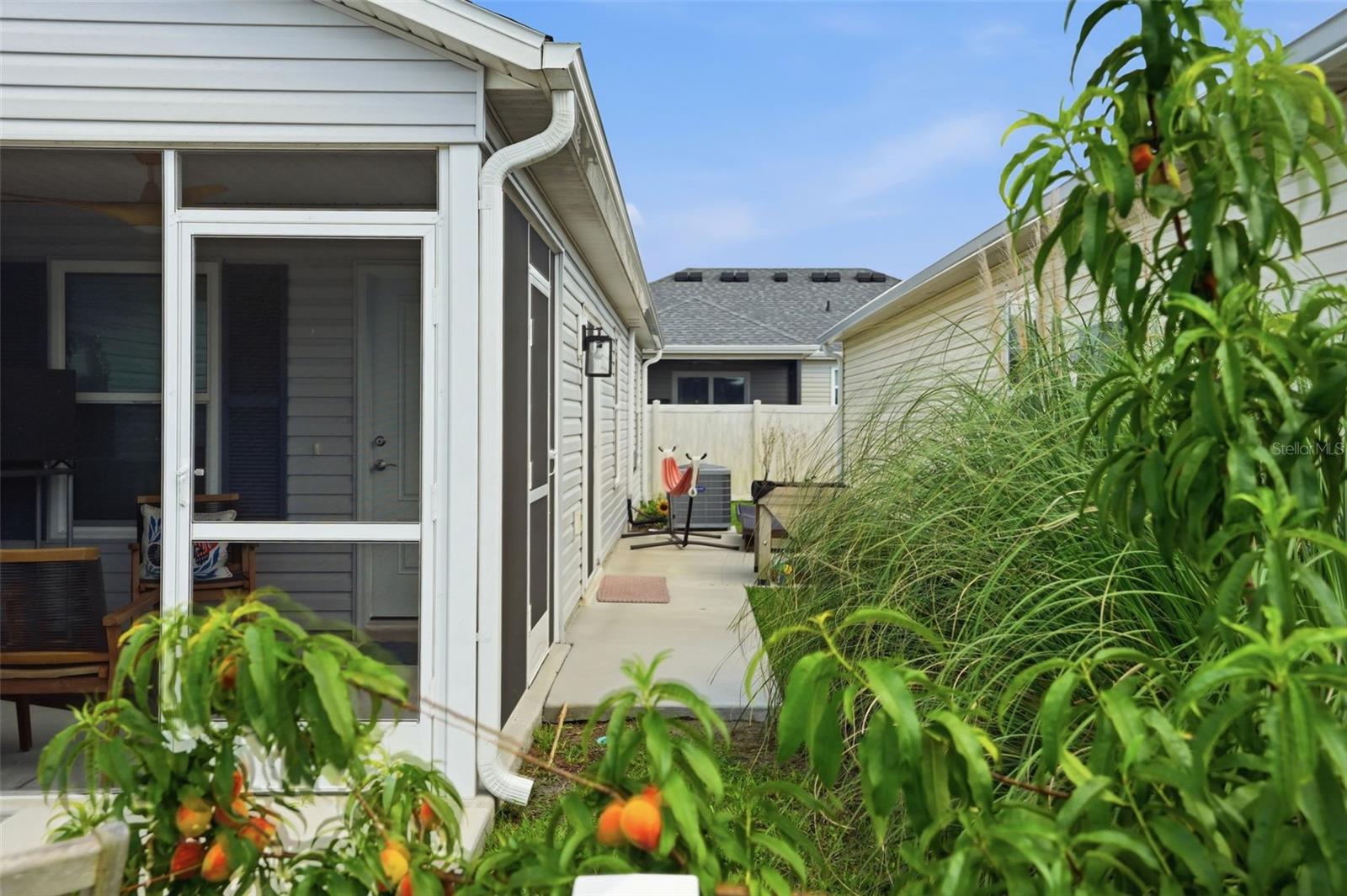 862 SPRING AVE, THE VILLAGES, FL — photo 9