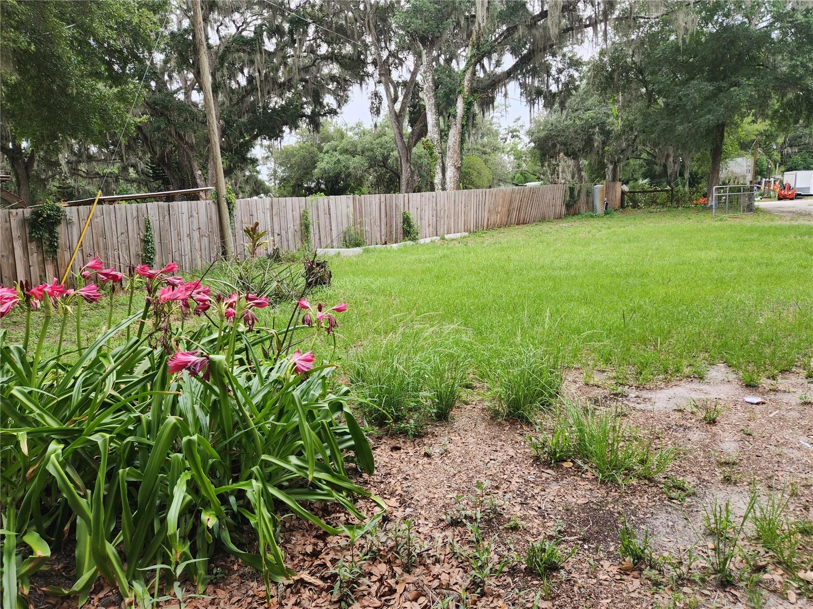 24815 AUDREY RD, LAND O LAKES, FL — photo 25