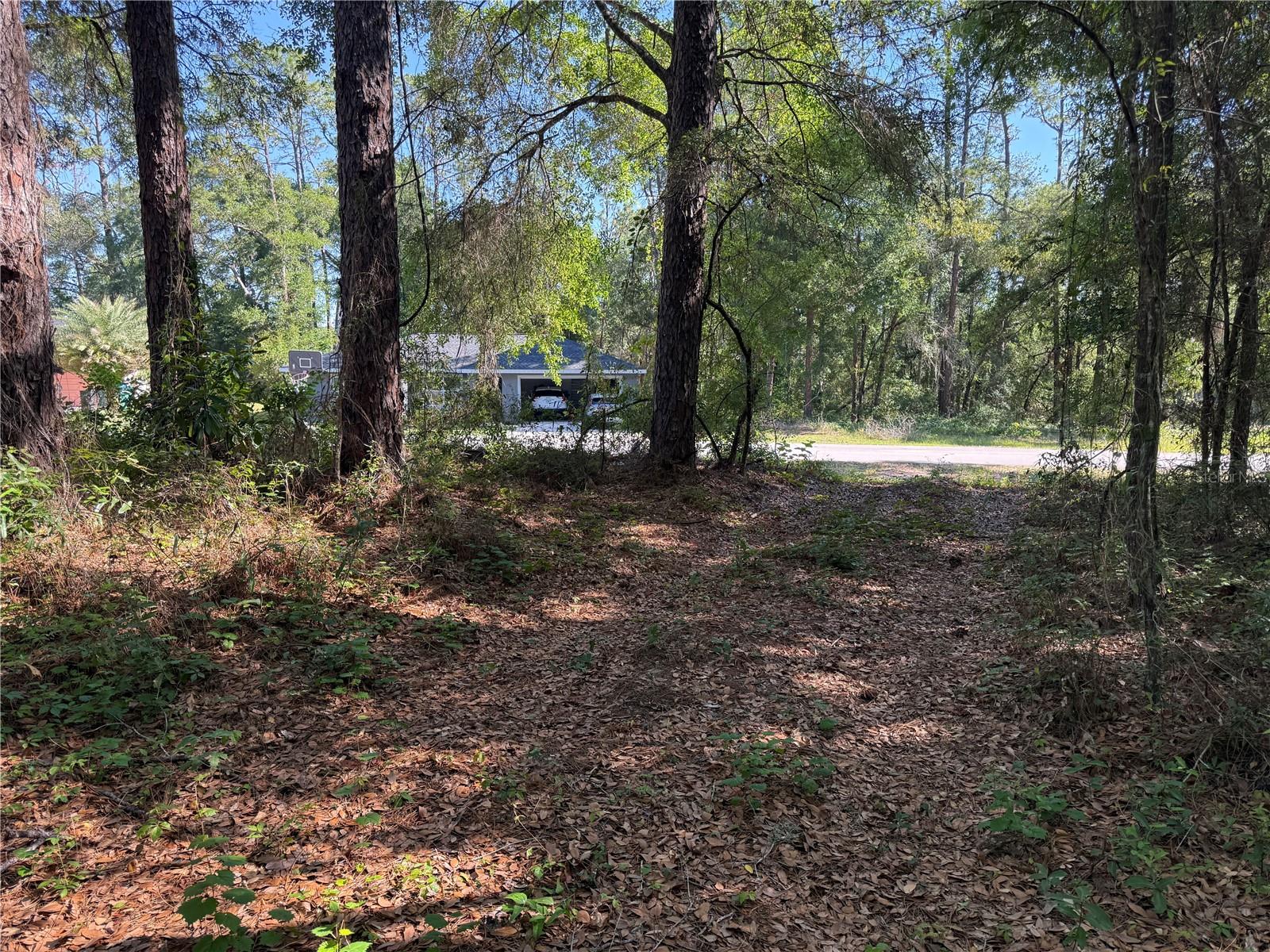10927 N AIRWAY LOOP, CITRUS SPRINGS, FL — photo 4