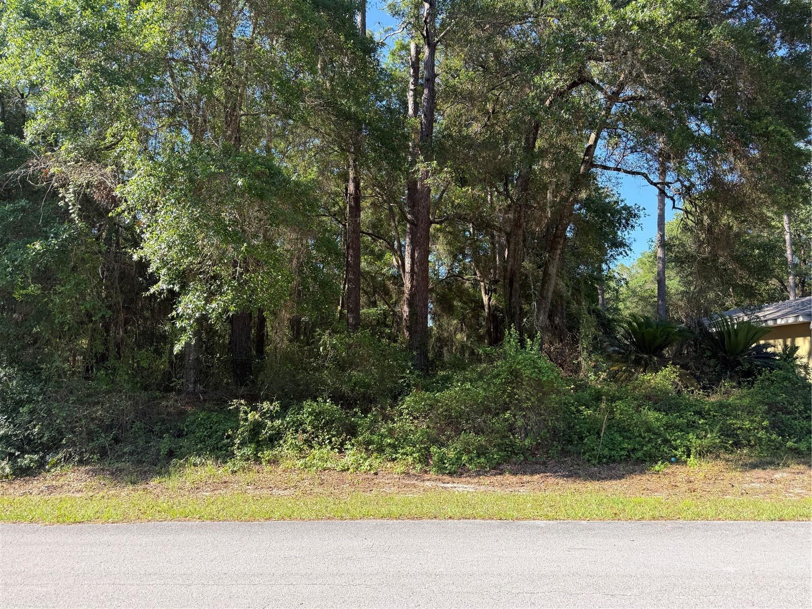 10927 N AIRWAY LOOP, CITRUS SPRINGS, FL — photo 6