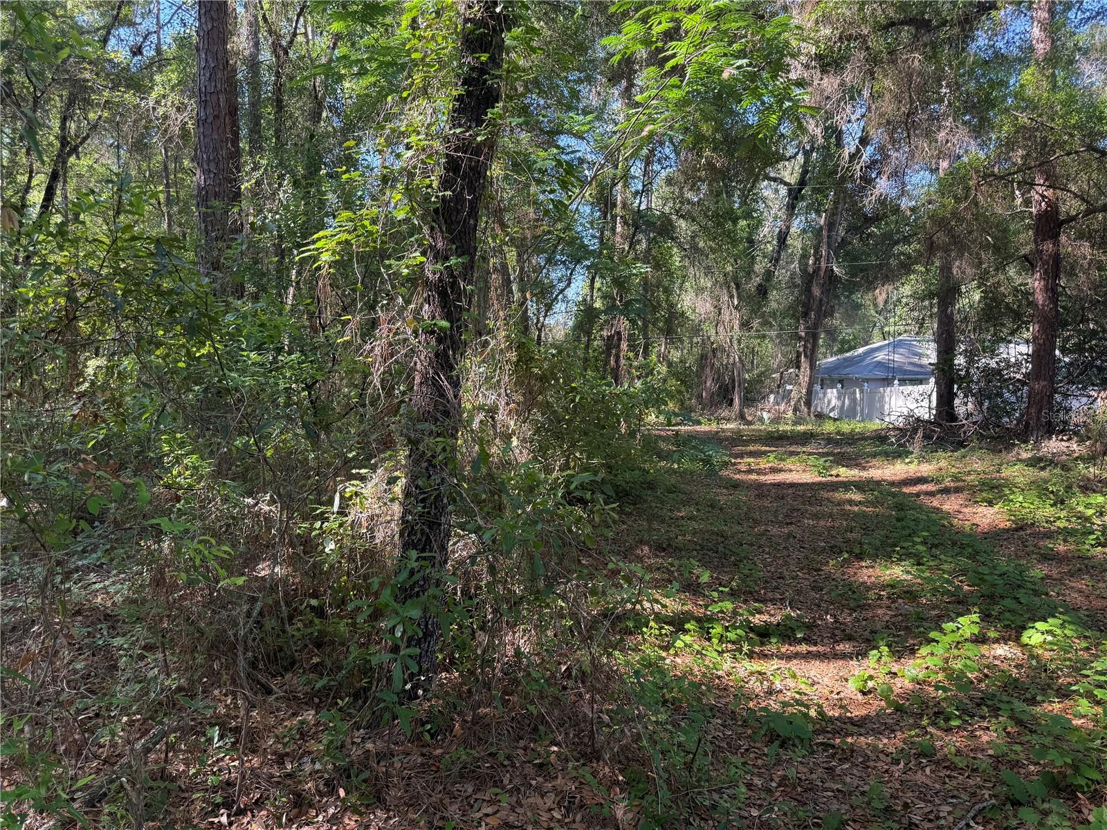 10927 N AIRWAY LOOP, CITRUS SPRINGS, FL — photo 7
