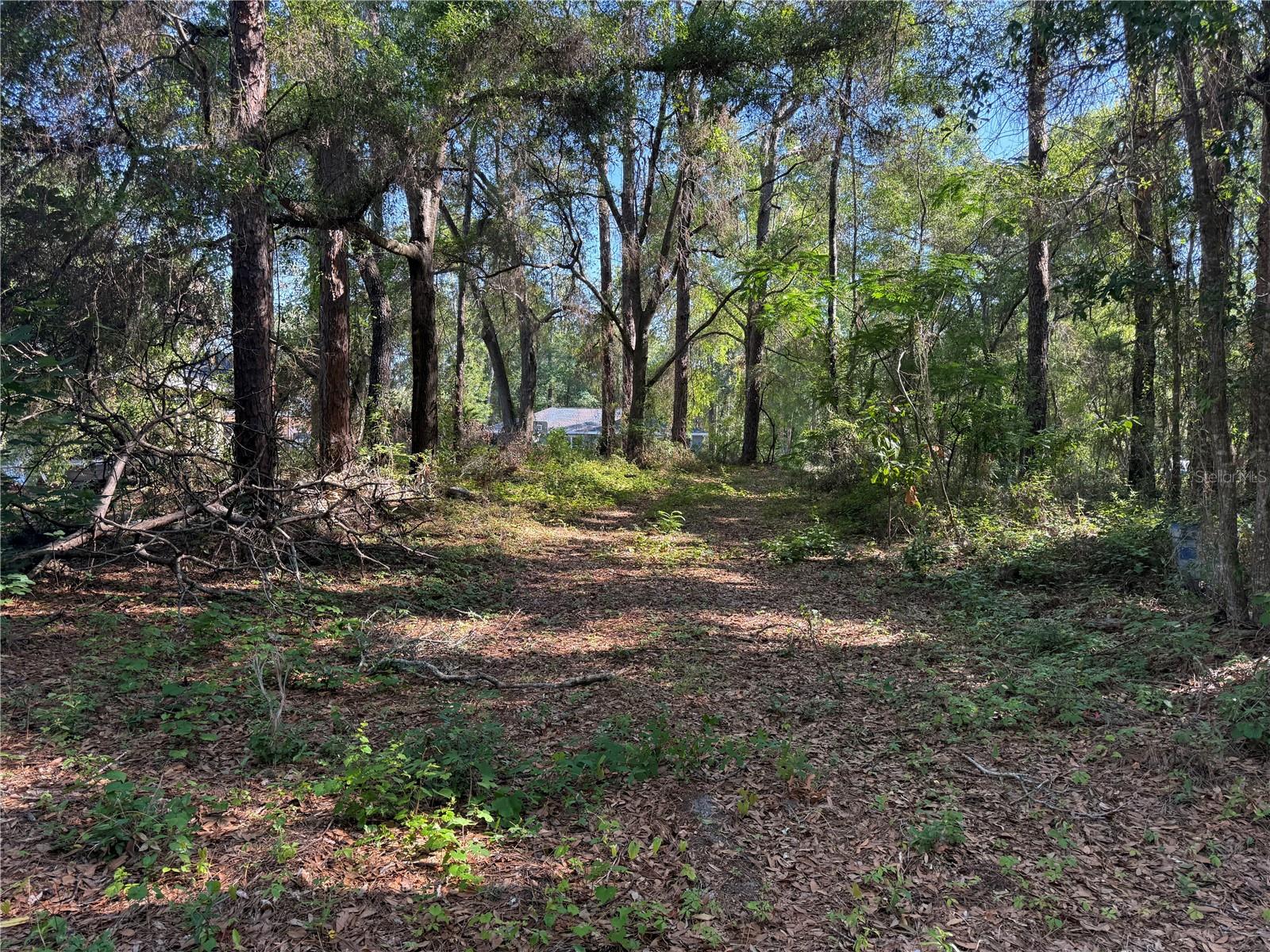 10927 N AIRWAY LOOP, CITRUS SPRINGS, FL — photo 8