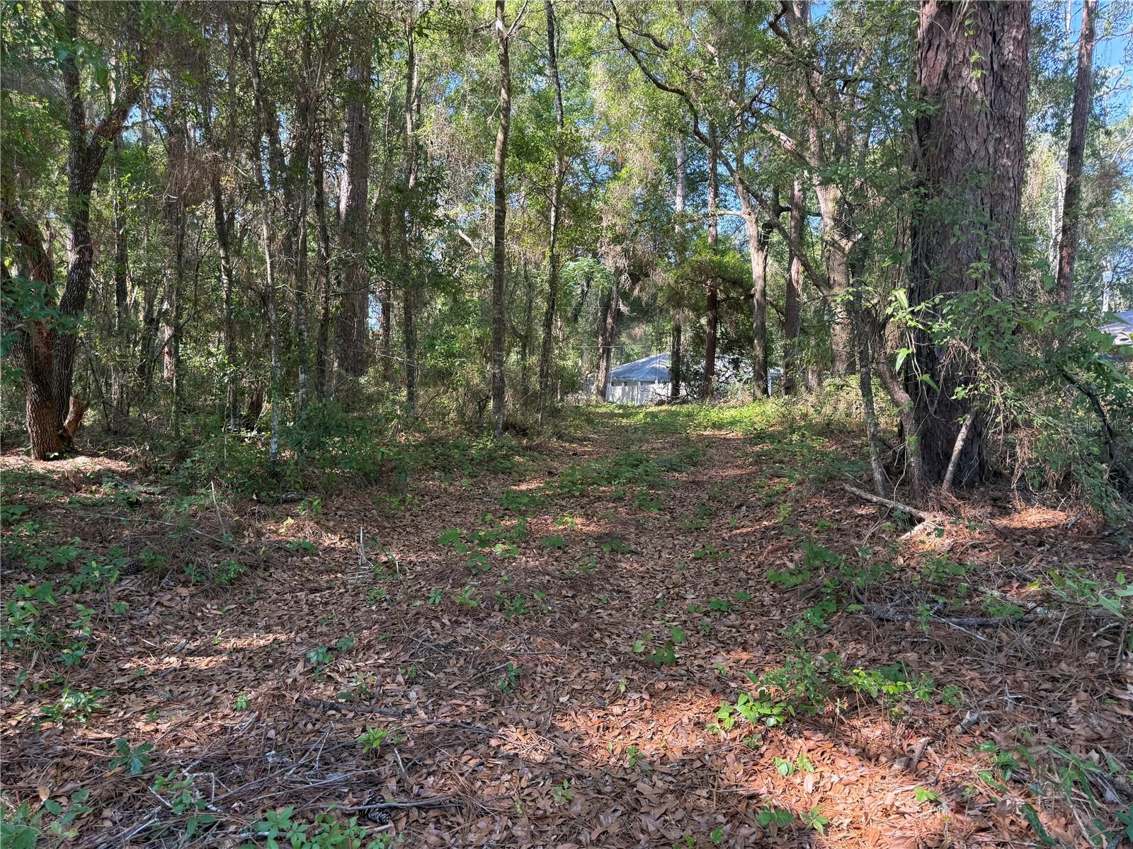 10927 N AIRWAY LOOP, CITRUS SPRINGS, FL — photo 9