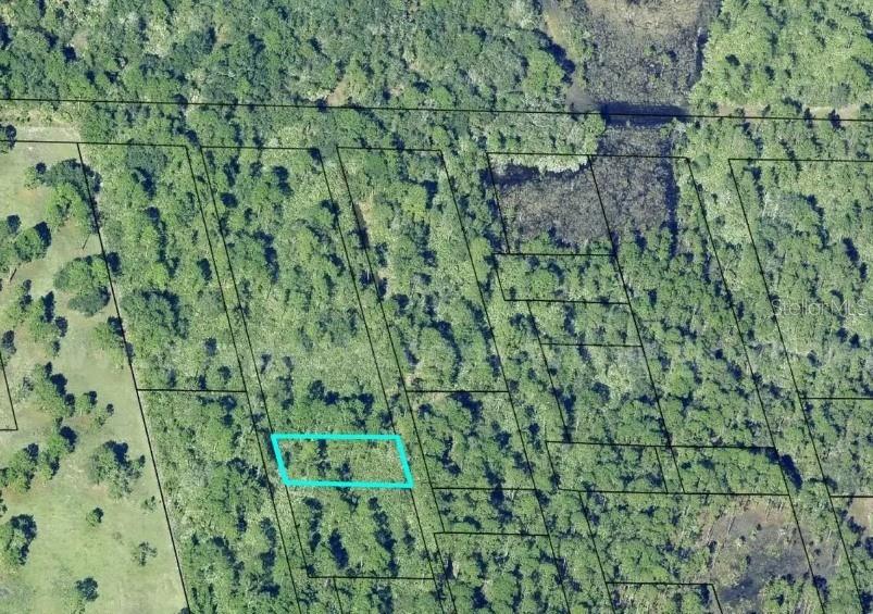 20G-34-03-AI-5-3.19, MIMS, FL