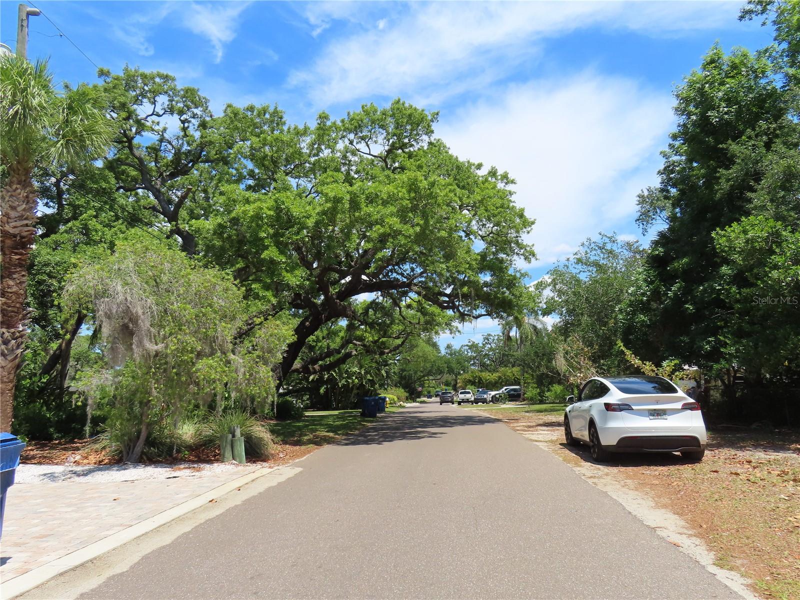 MAYO, CRYSTAL BEACH, FL — photo 2