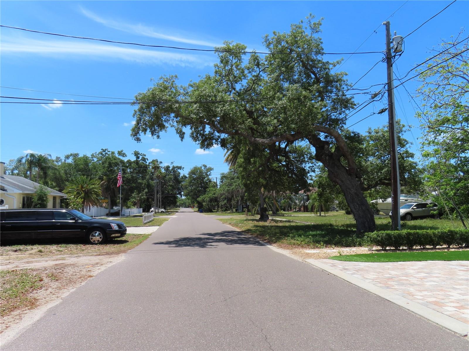 MAYO, CRYSTAL BEACH, FL — photo 3