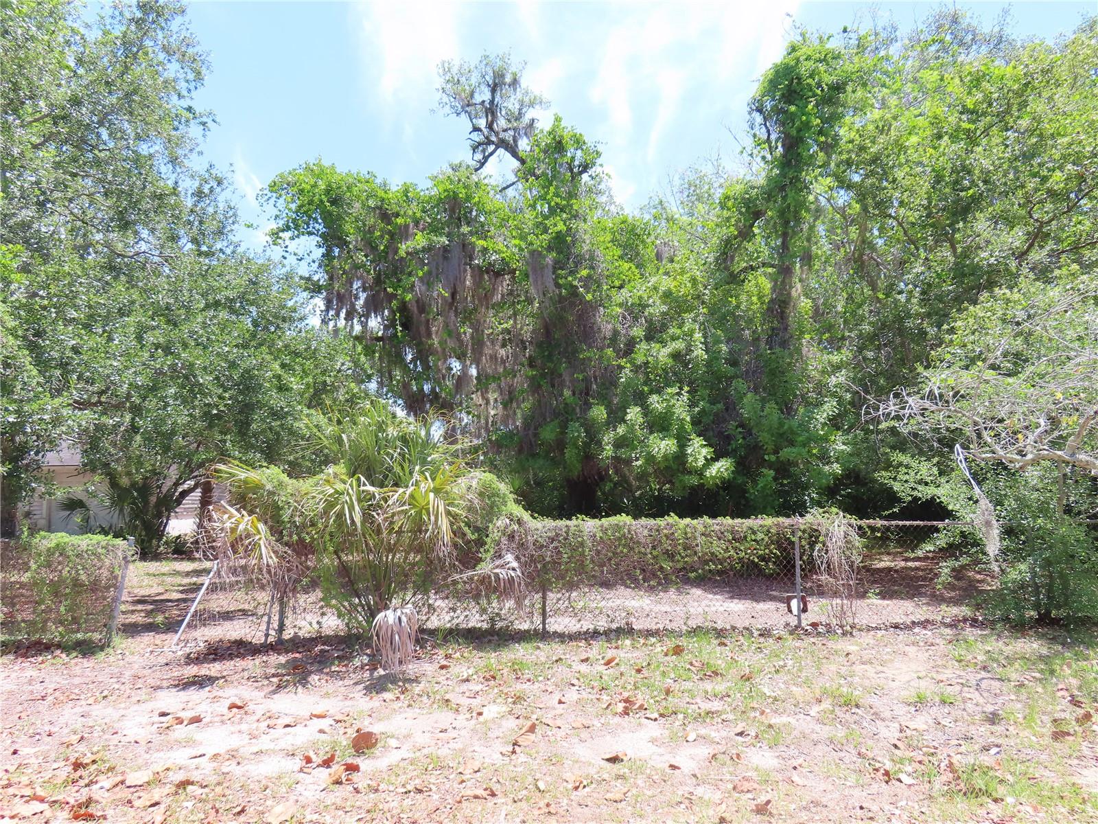 MAYO, CRYSTAL BEACH, FL — photo 4