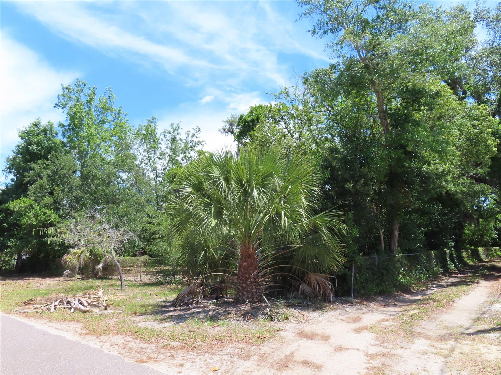 MAYO, CRYSTAL BEACH, FL — photo 6