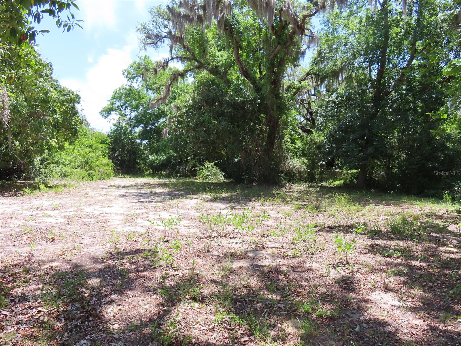 MAYO, CRYSTAL BEACH, FL — photo 7