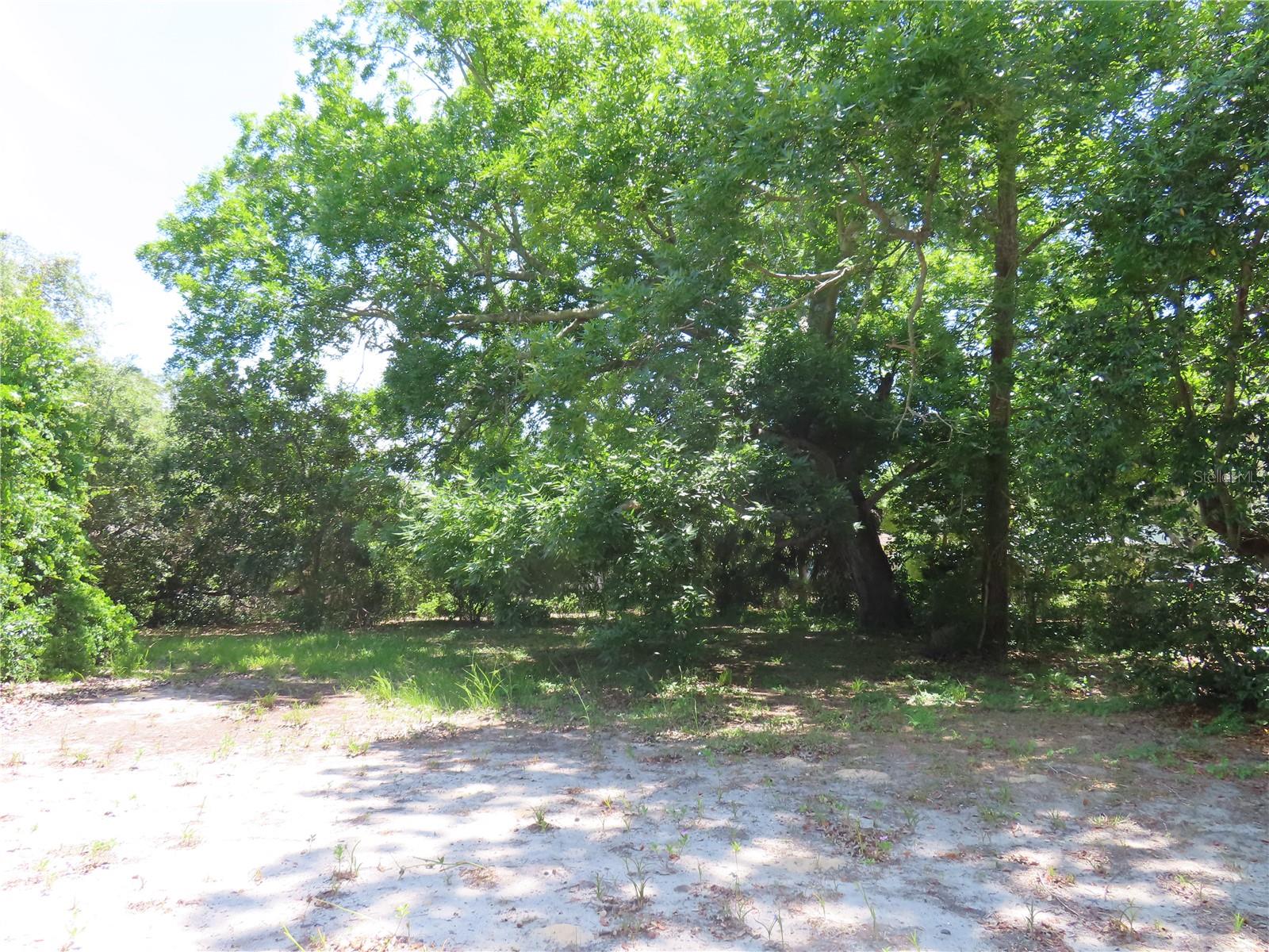 MAYO, CRYSTAL BEACH, FL — photo 8