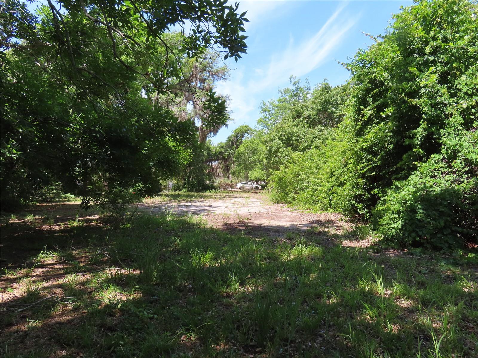 MAYO, CRYSTAL BEACH, FL — photo 9