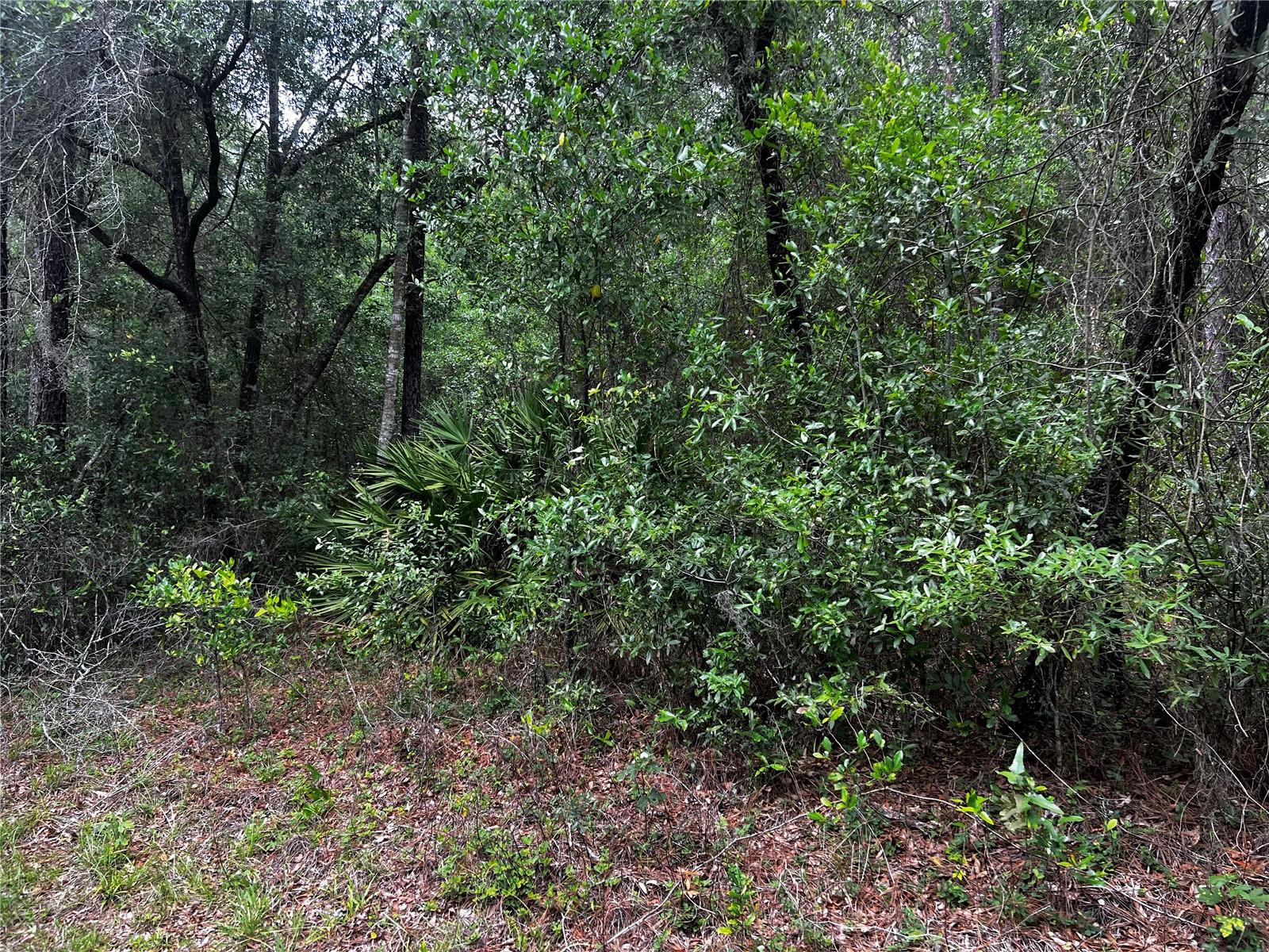 TBD SW 186TH CT., DUNNELLON, FL