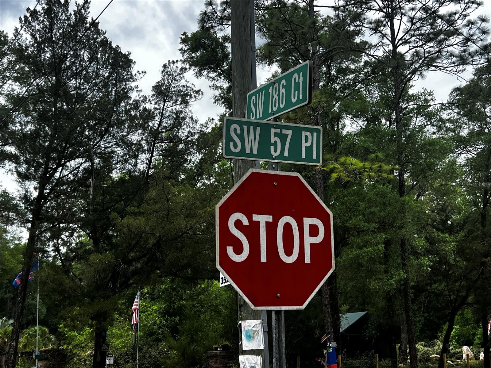 TBD SW 186TH CT., DUNNELLON, FL — photo 7