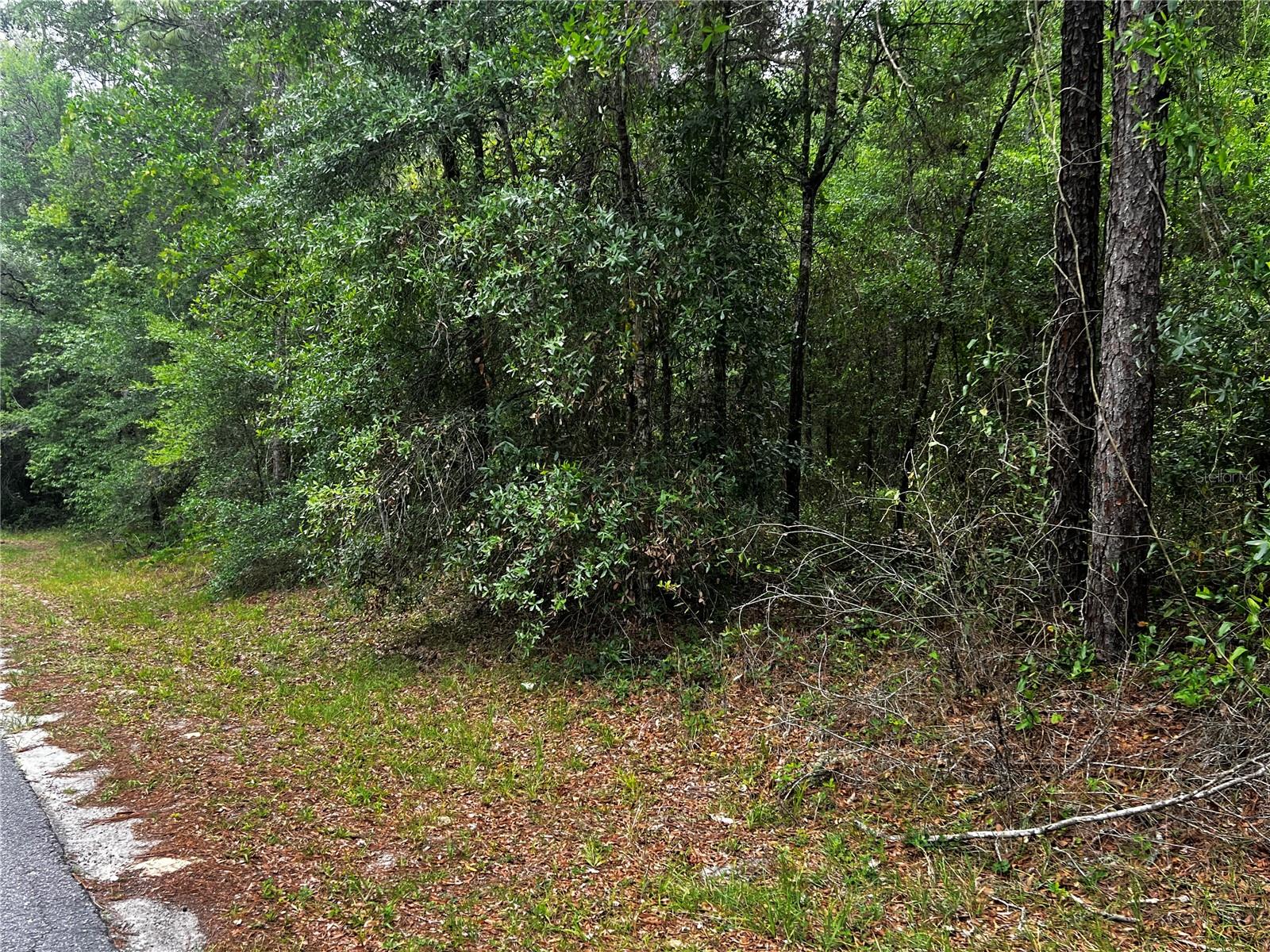 TBD SW 186TH CT., DUNNELLON, FL — photo 9