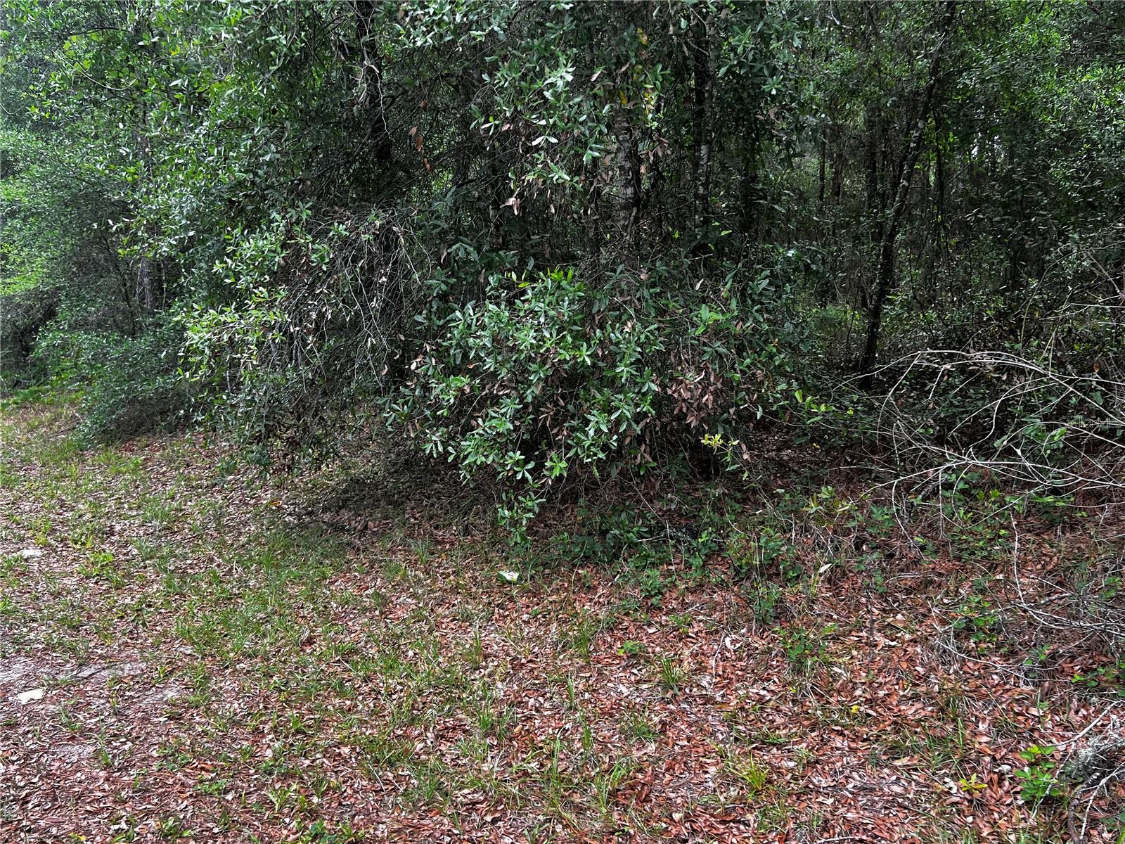 TBD SW 186TH CT., DUNNELLON, FL — photo 10