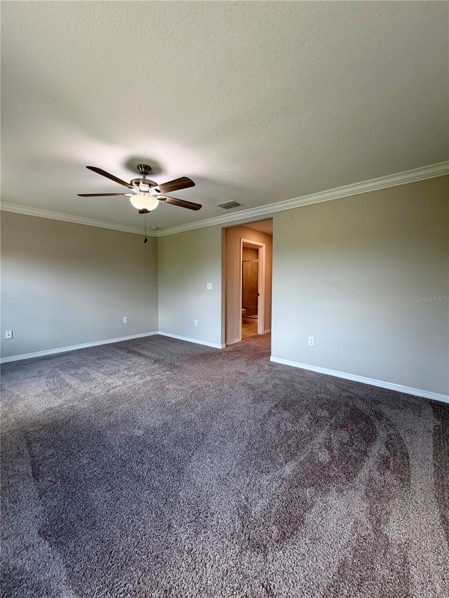 11826 DUMAINE VALLEY RD, RIVERVIEW, FL — photo 20