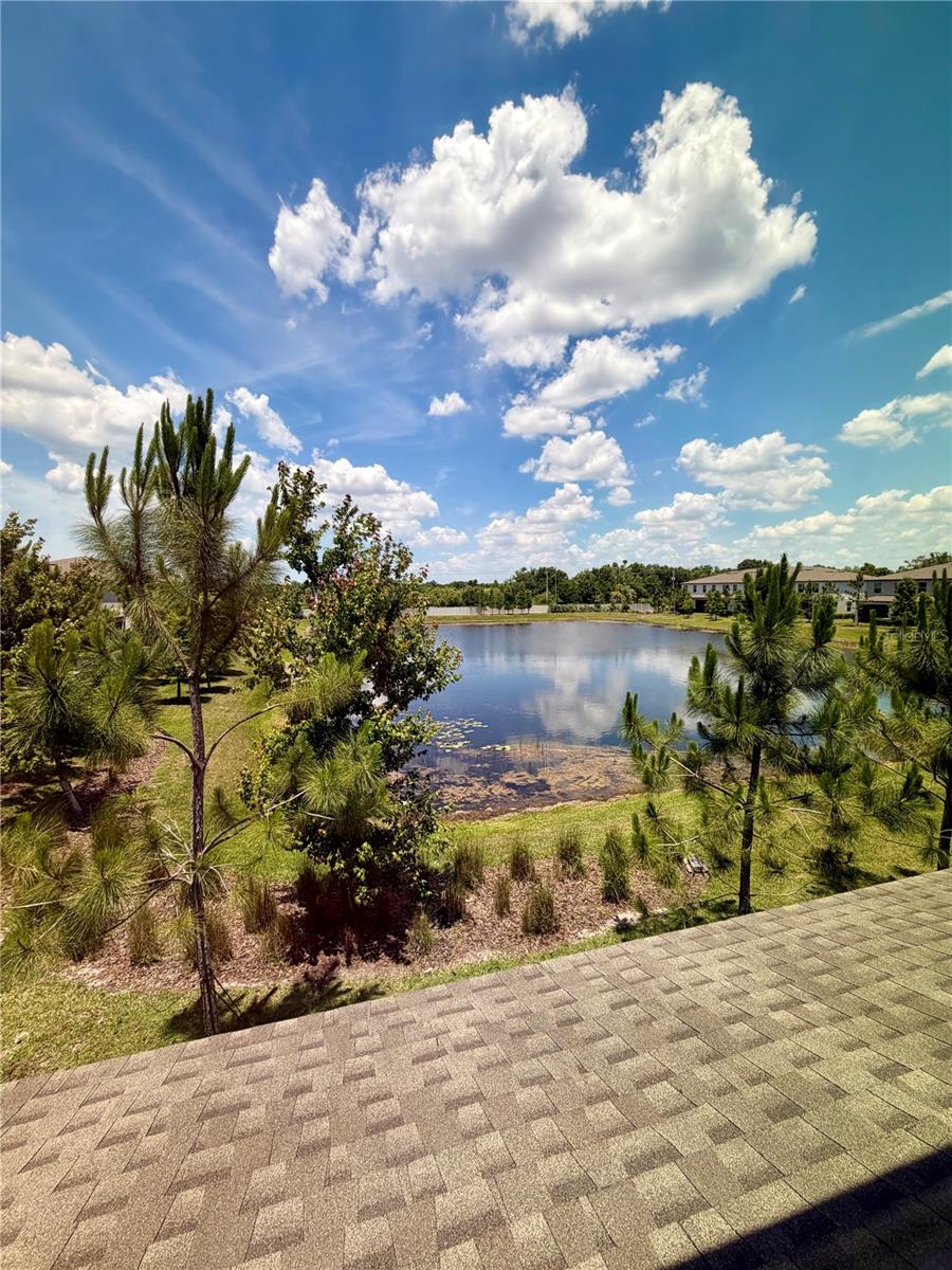 11826 DUMAINE VALLEY RD, RIVERVIEW, FL — photo 37