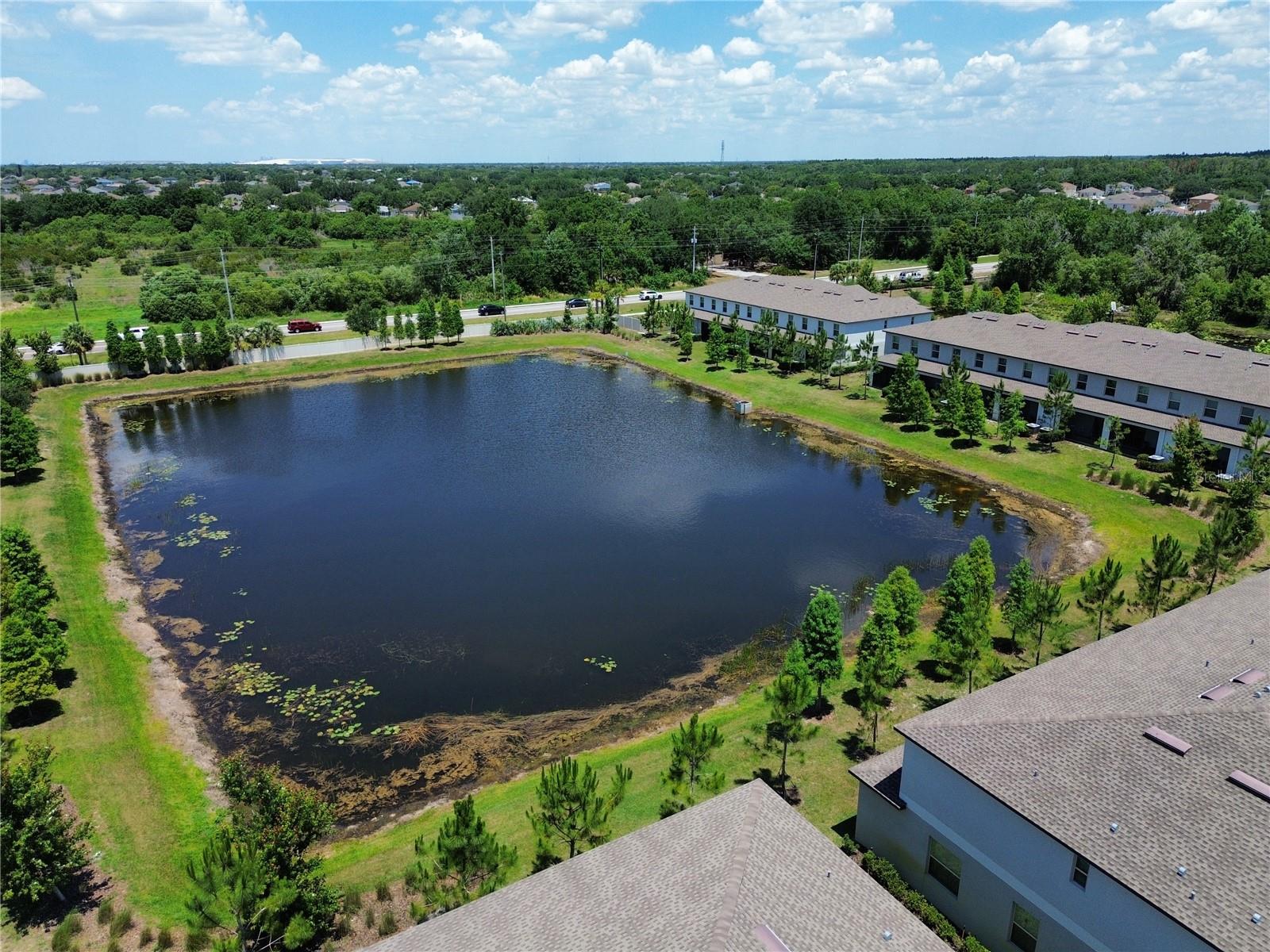 11826 DUMAINE VALLEY RD, RIVERVIEW, FL — photo 44
