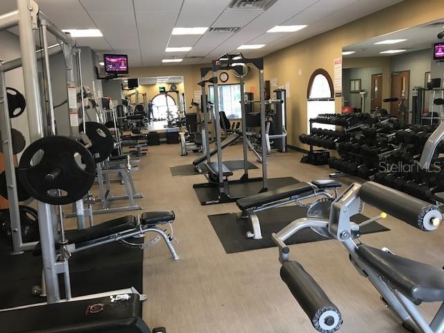 11826 DUMAINE VALLEY RD, RIVERVIEW, FL — photo 54