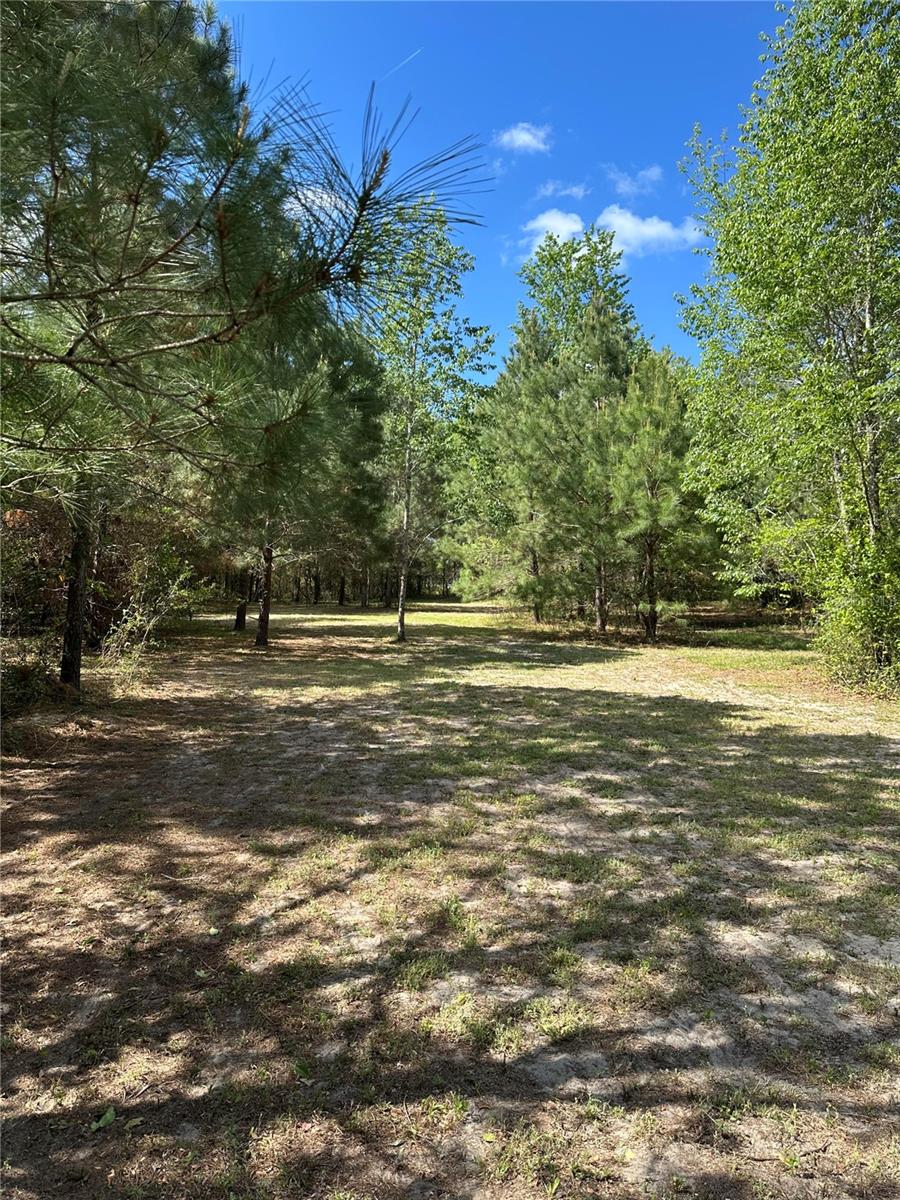 1449 SE OCTOBER RD, LAKE CITY, FL